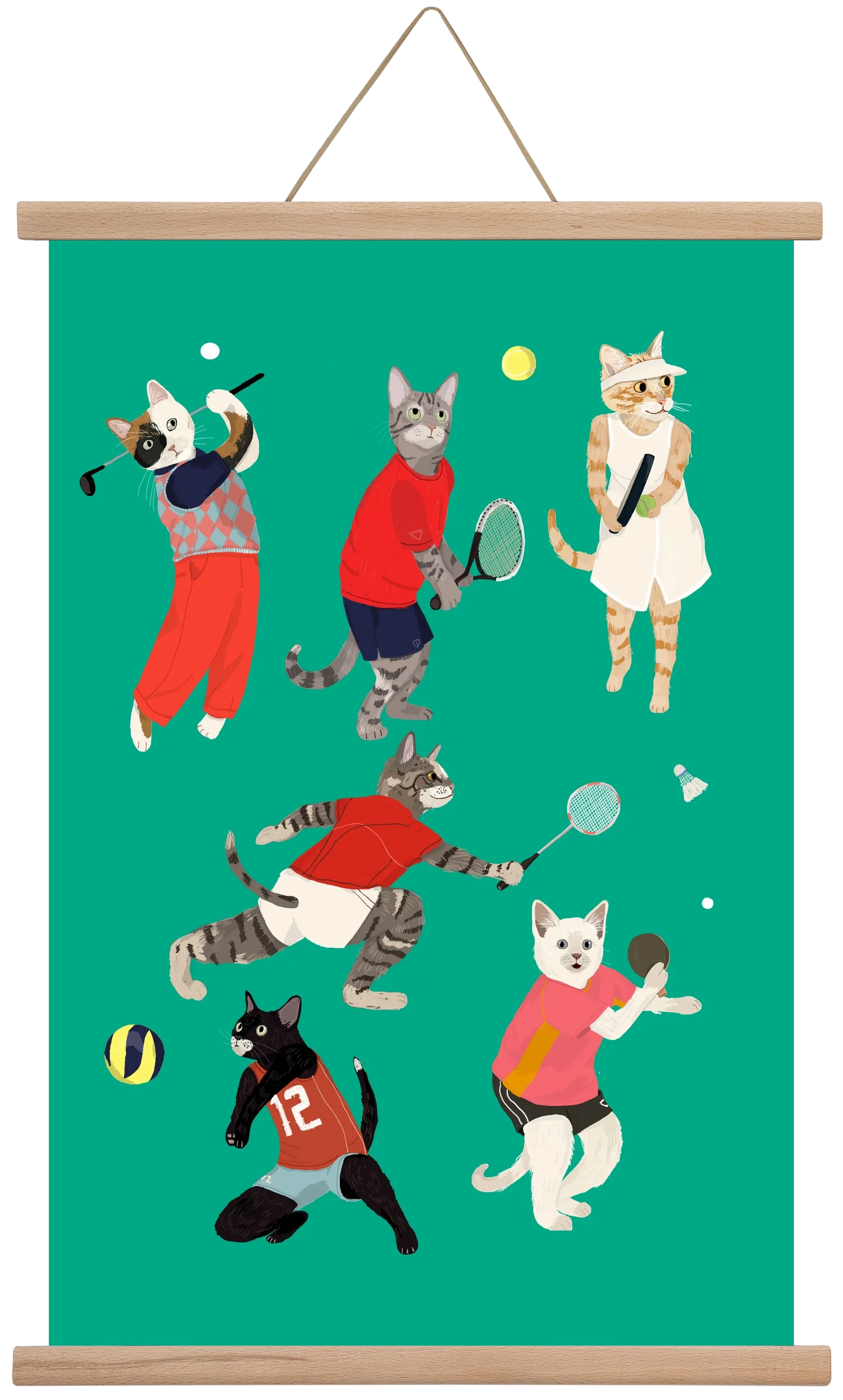 Cats doing ballsport - artbridge