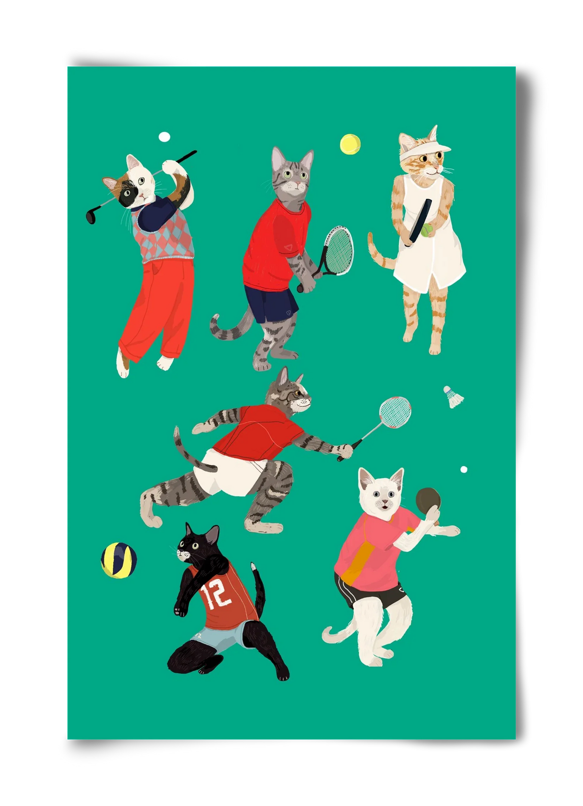 Cats doing ballsport - artbridge