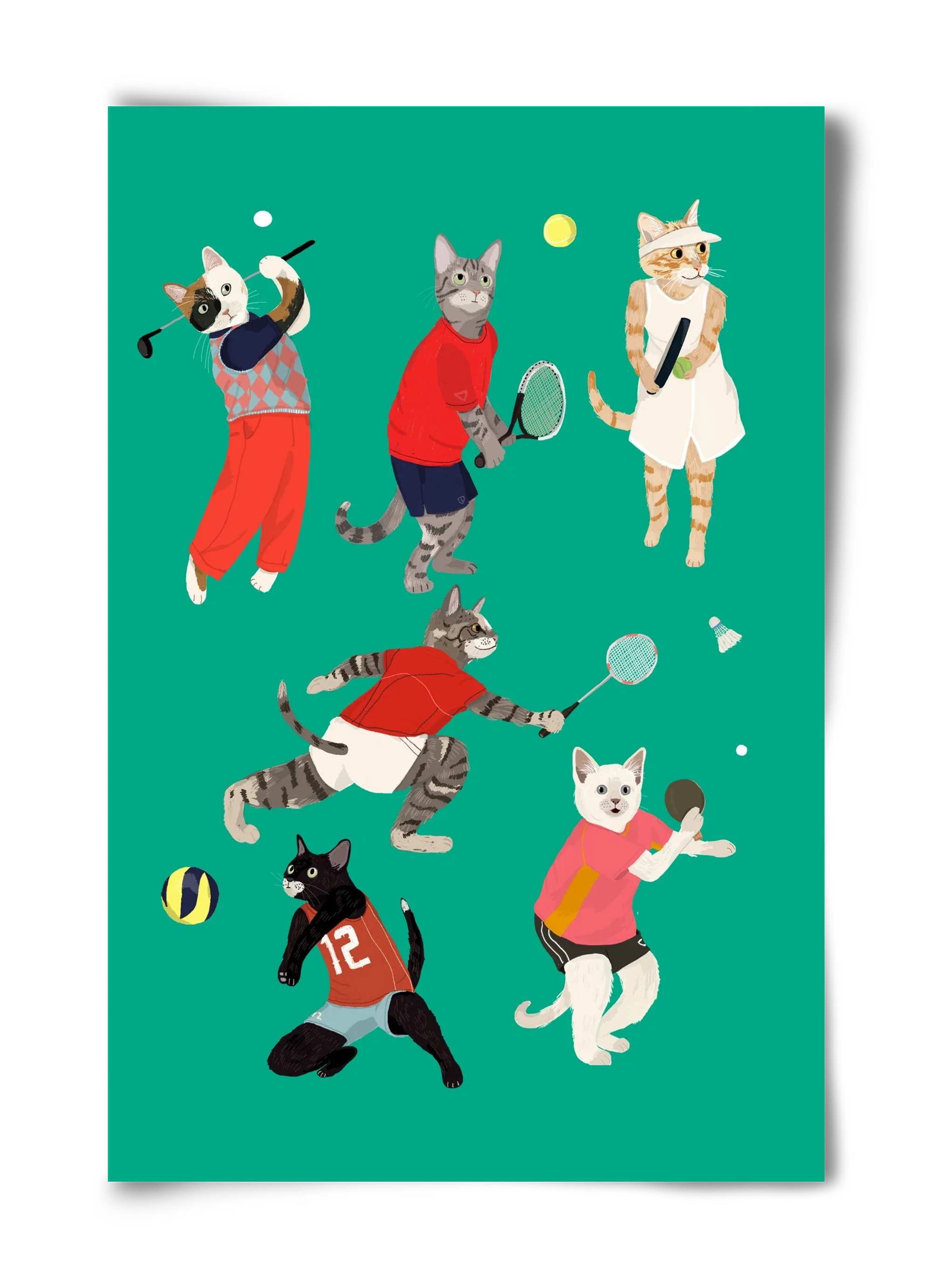 Cats doing ballsport - artbridge