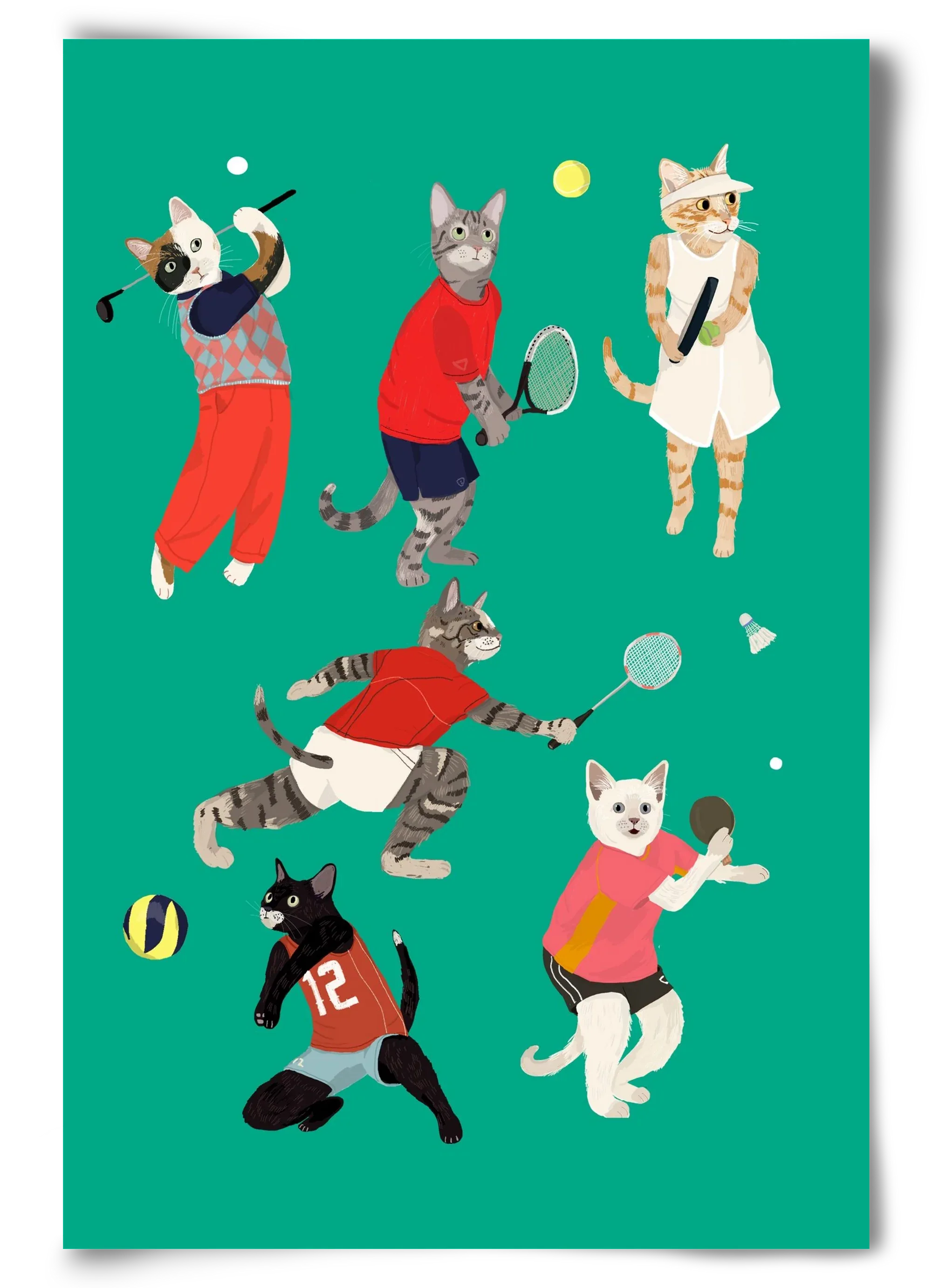 Cats doing ballsport - artbridge