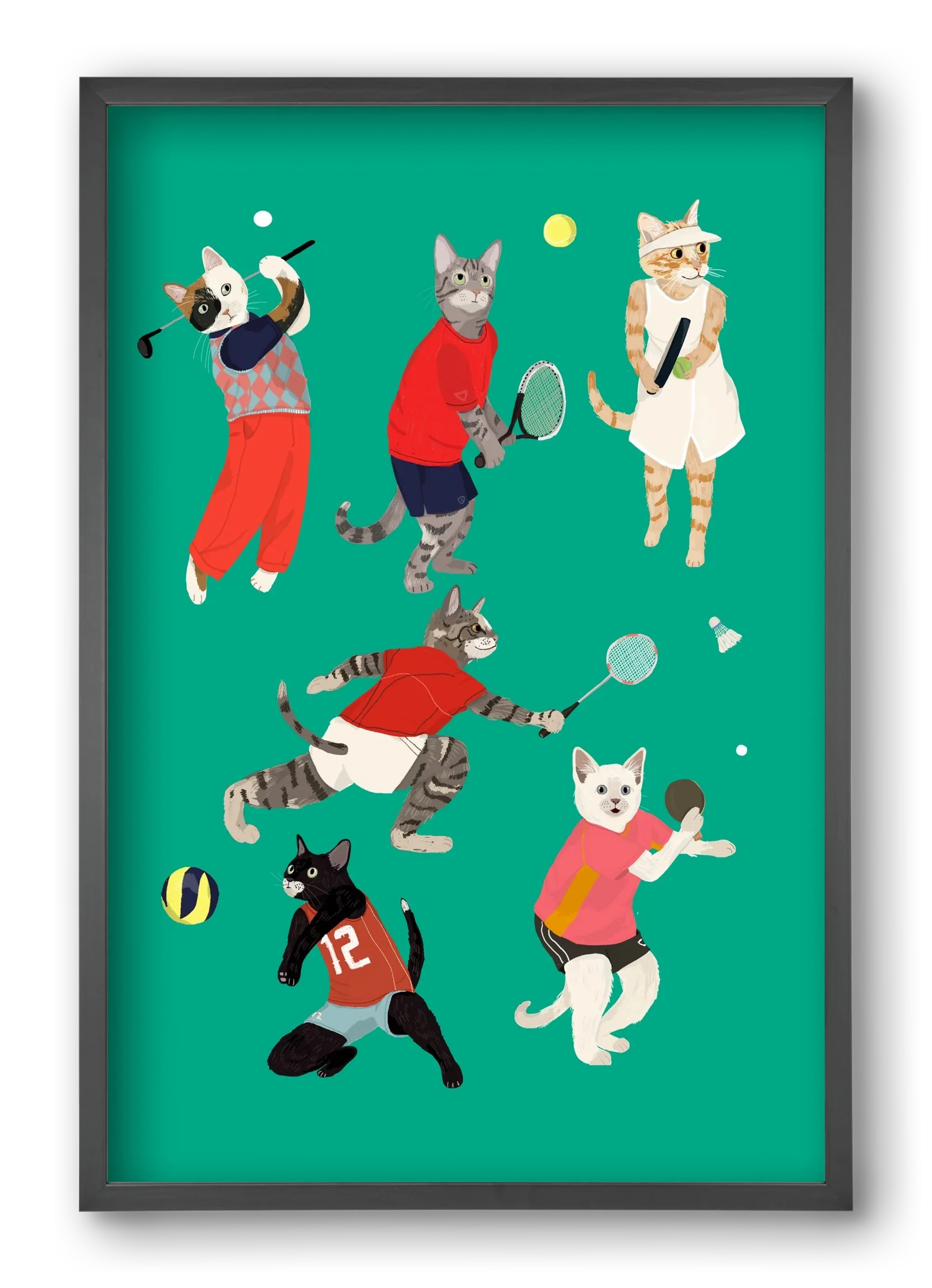 Cats doing ballsport - artbridge