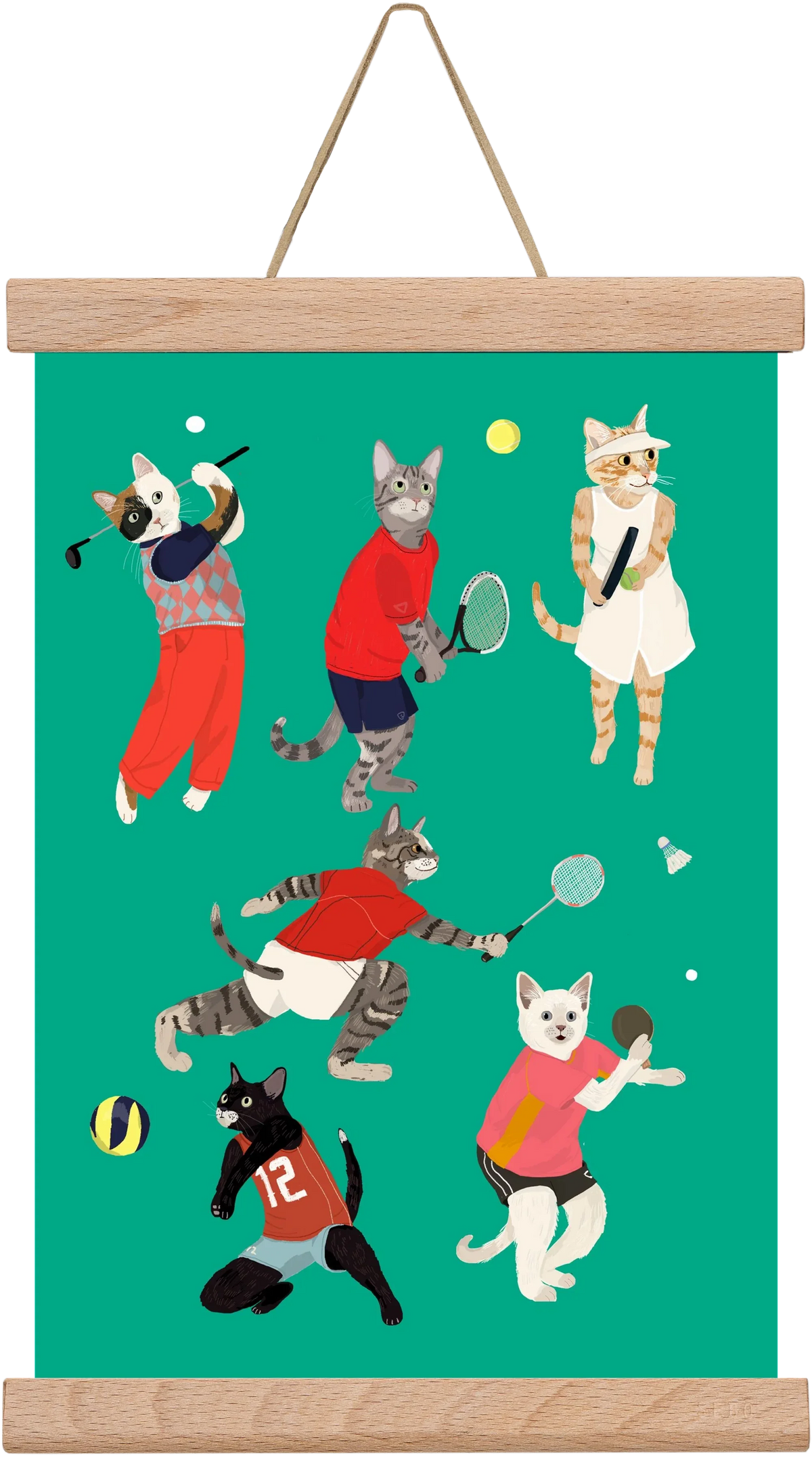Cats doing ballsport - artbridge