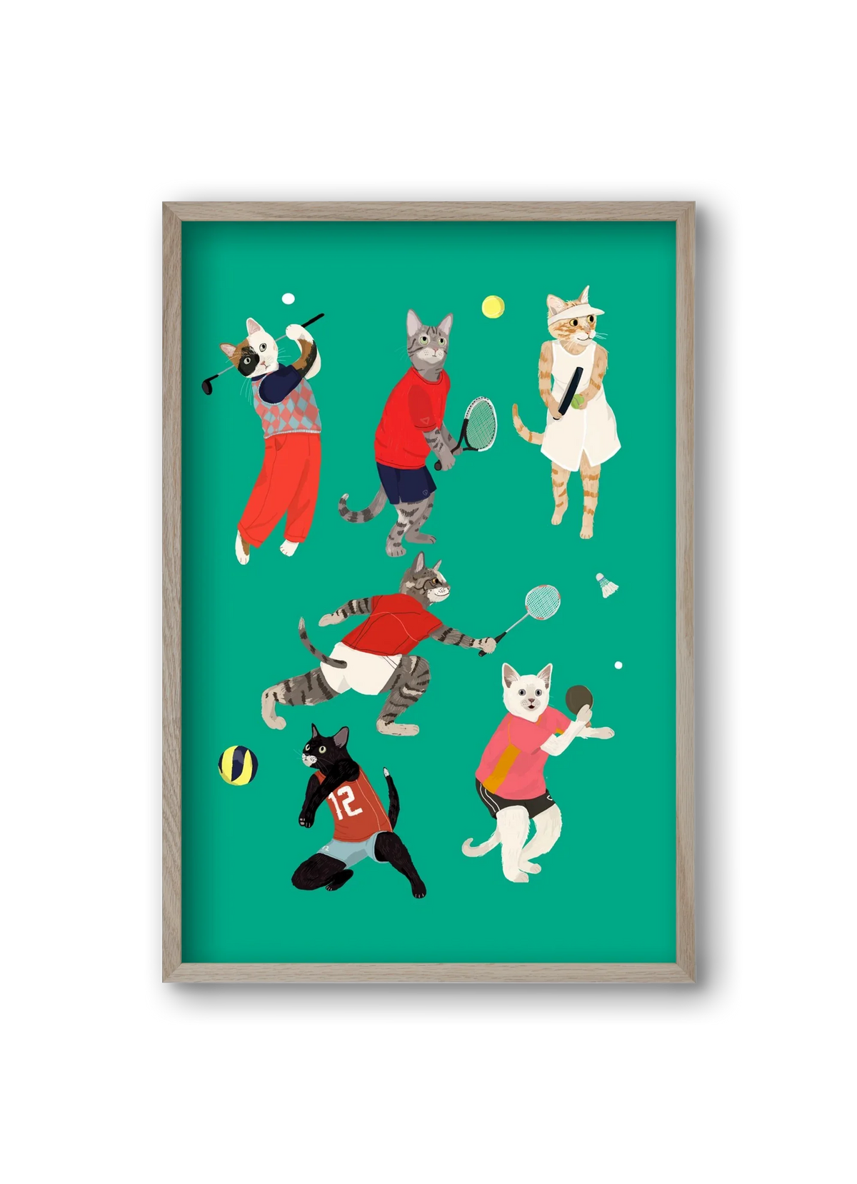 Cats doing ballsport - artbridge