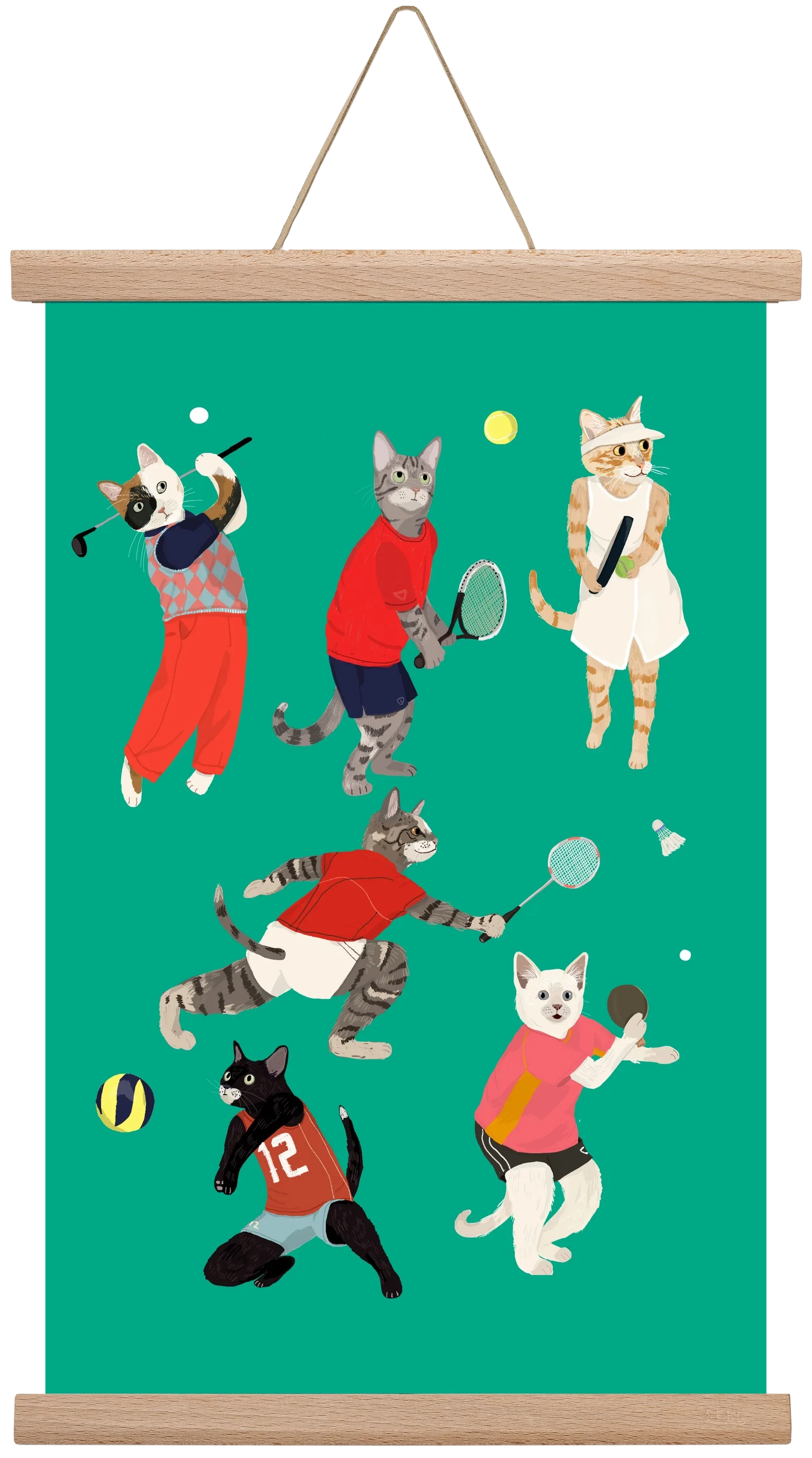 Cats doing ballsport - artbridge