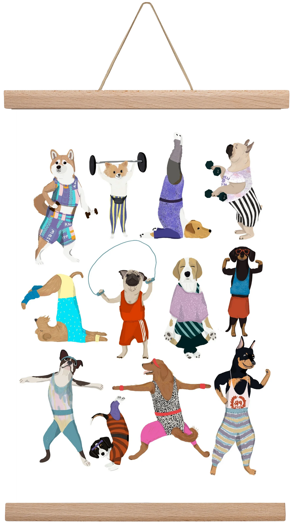 Dogs at the gym - artbridge