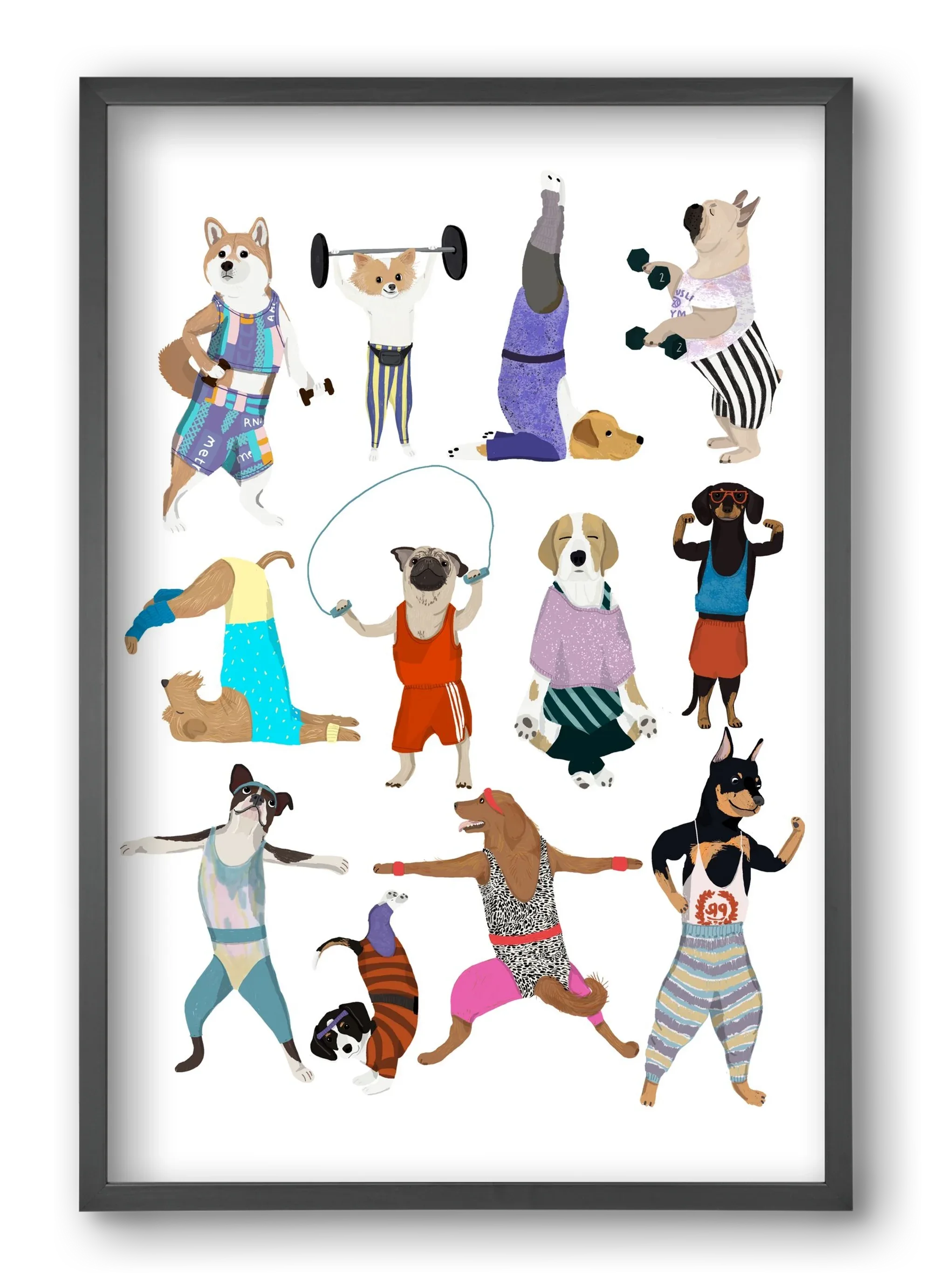 Dogs at the gym - artbridge