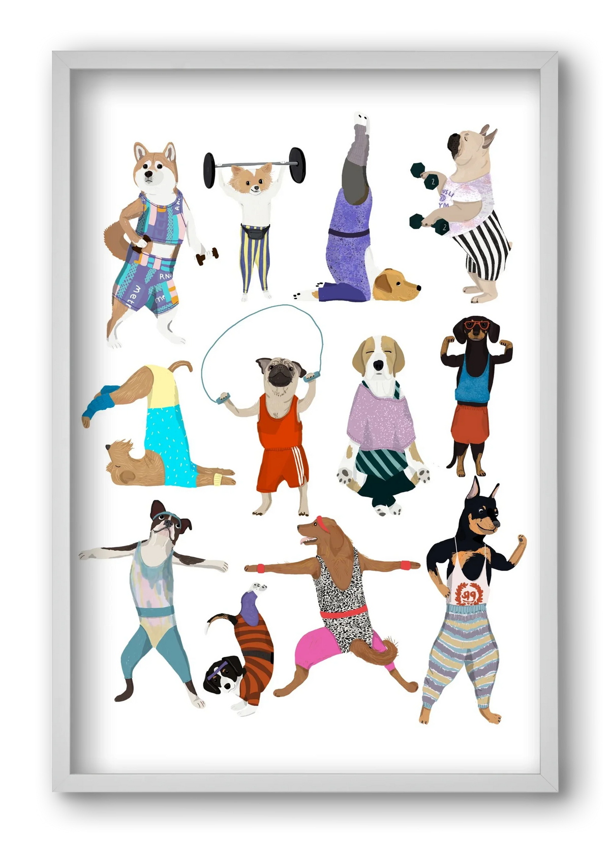 Dogs at the gym - artbridge