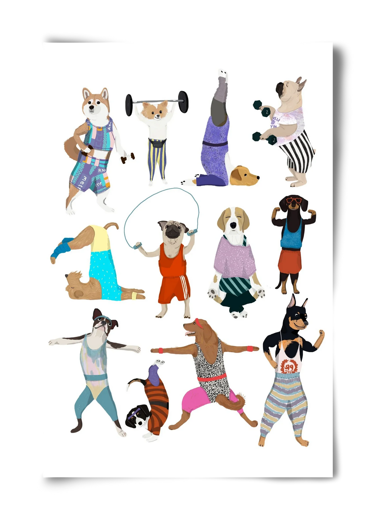 Dogs at the gym - artbridge