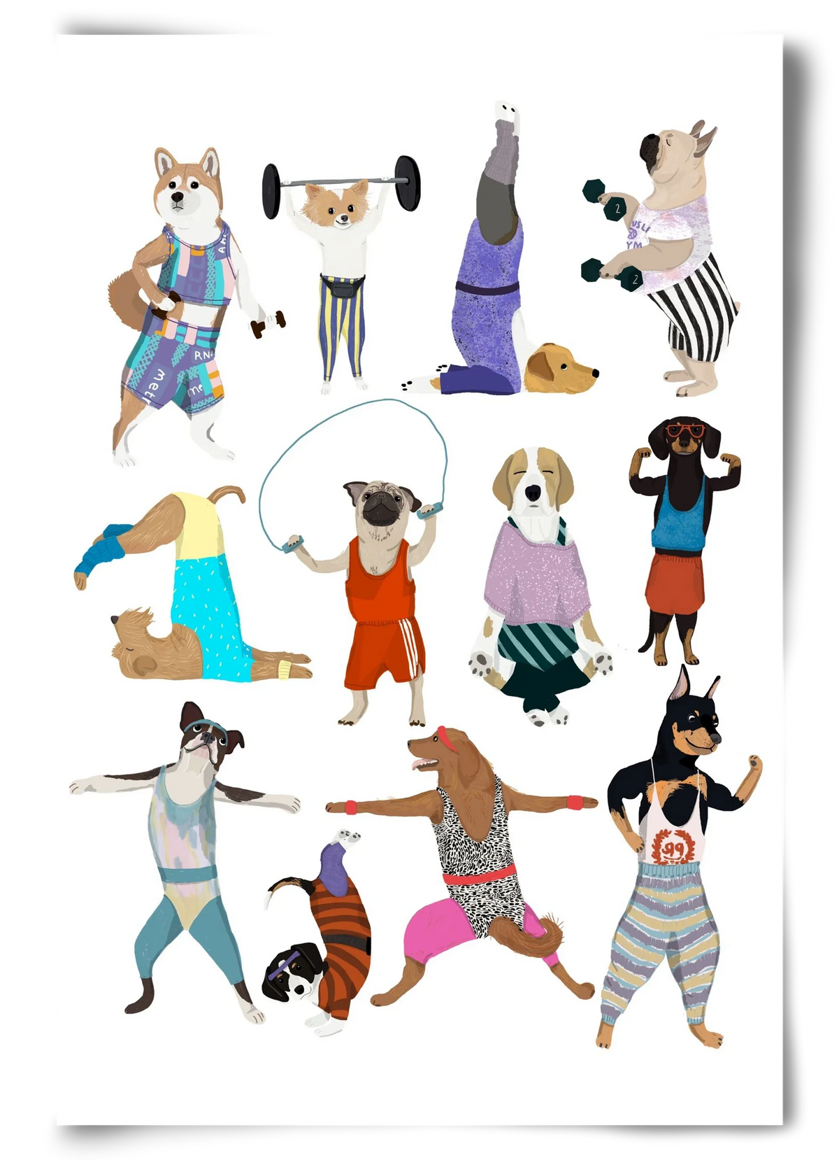 Dogs at the gym - artbridge