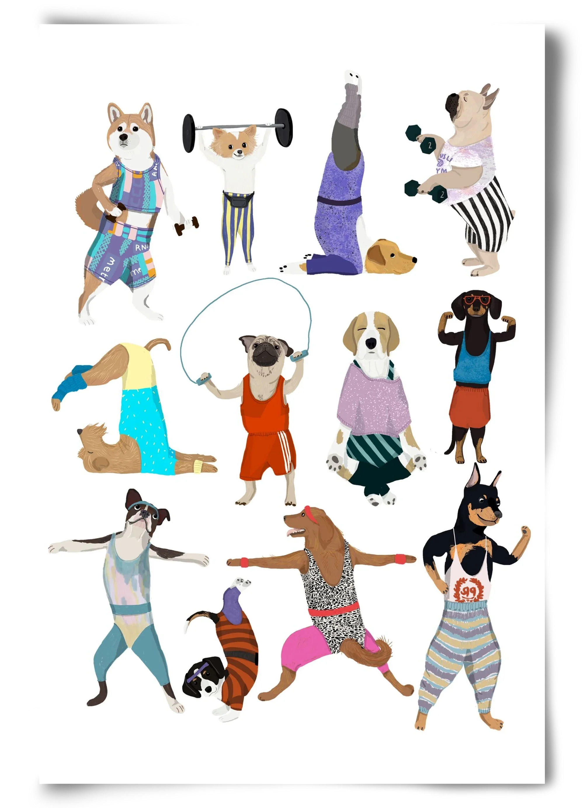 Dogs at the gym - artbridge