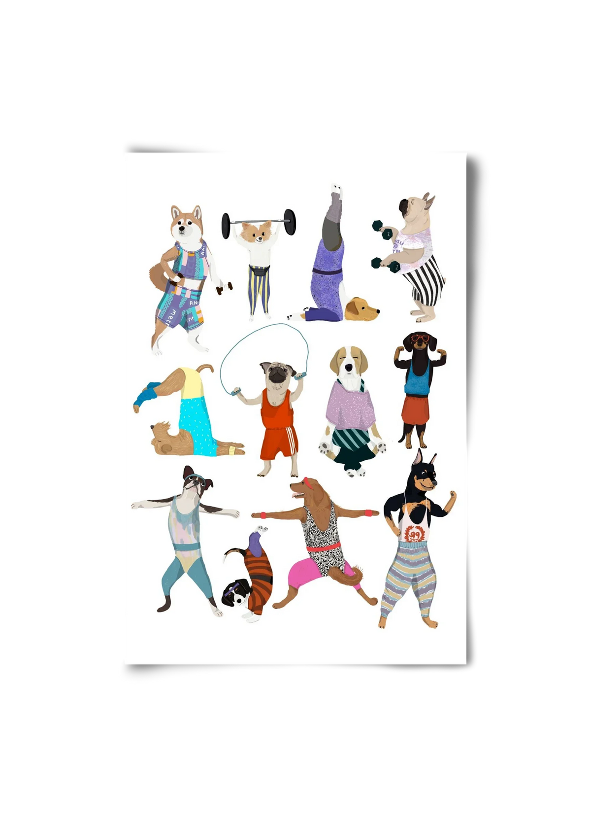 Dogs at the gym - artbridge