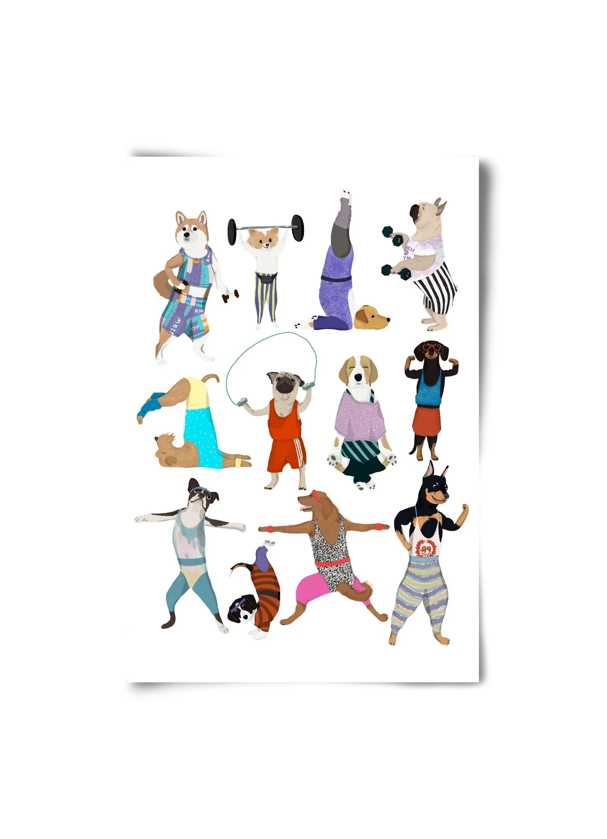 Dogs at the gym - artbridge
