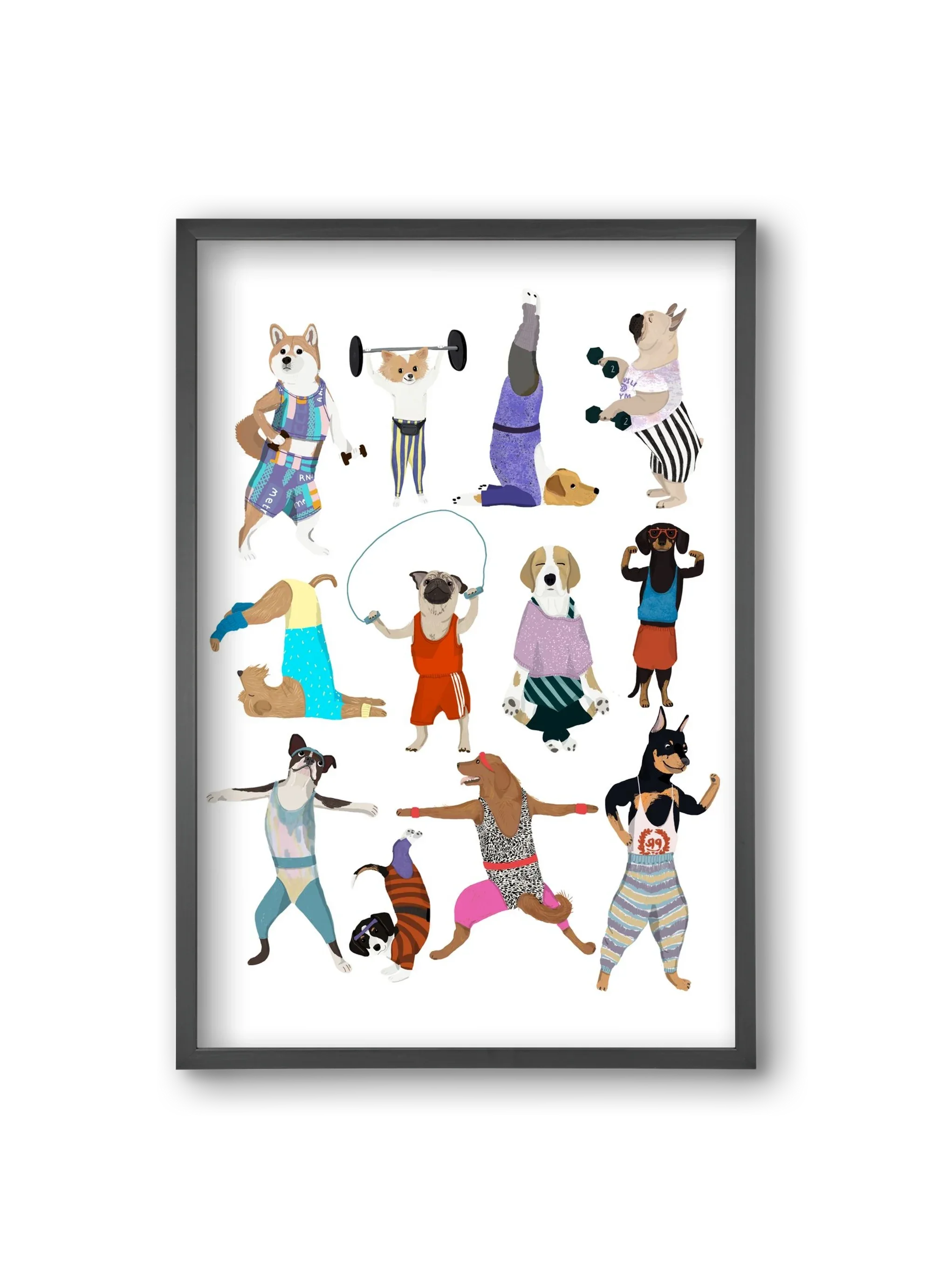 Dogs at the gym - artbridge