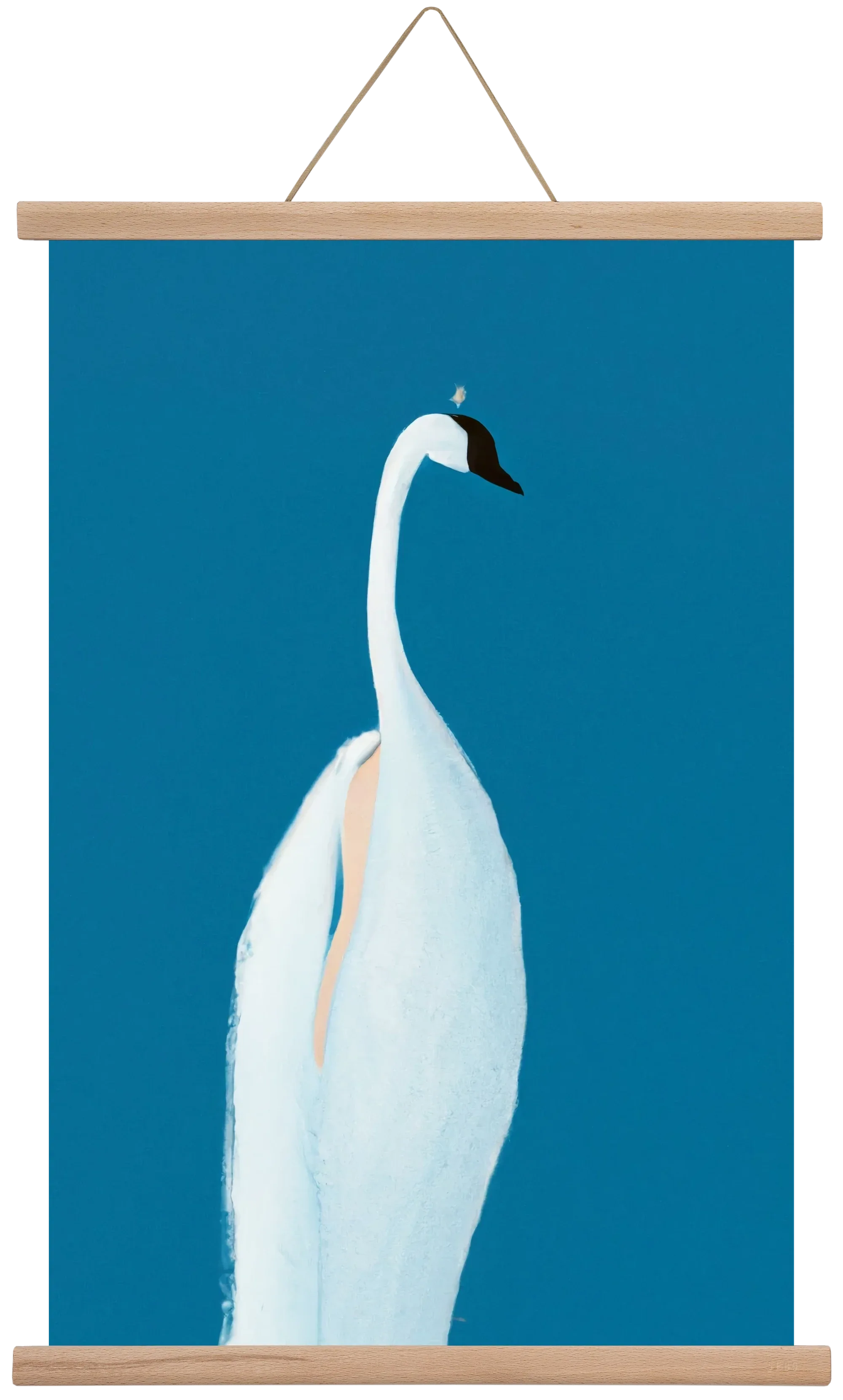 Swan maybe - artbridge