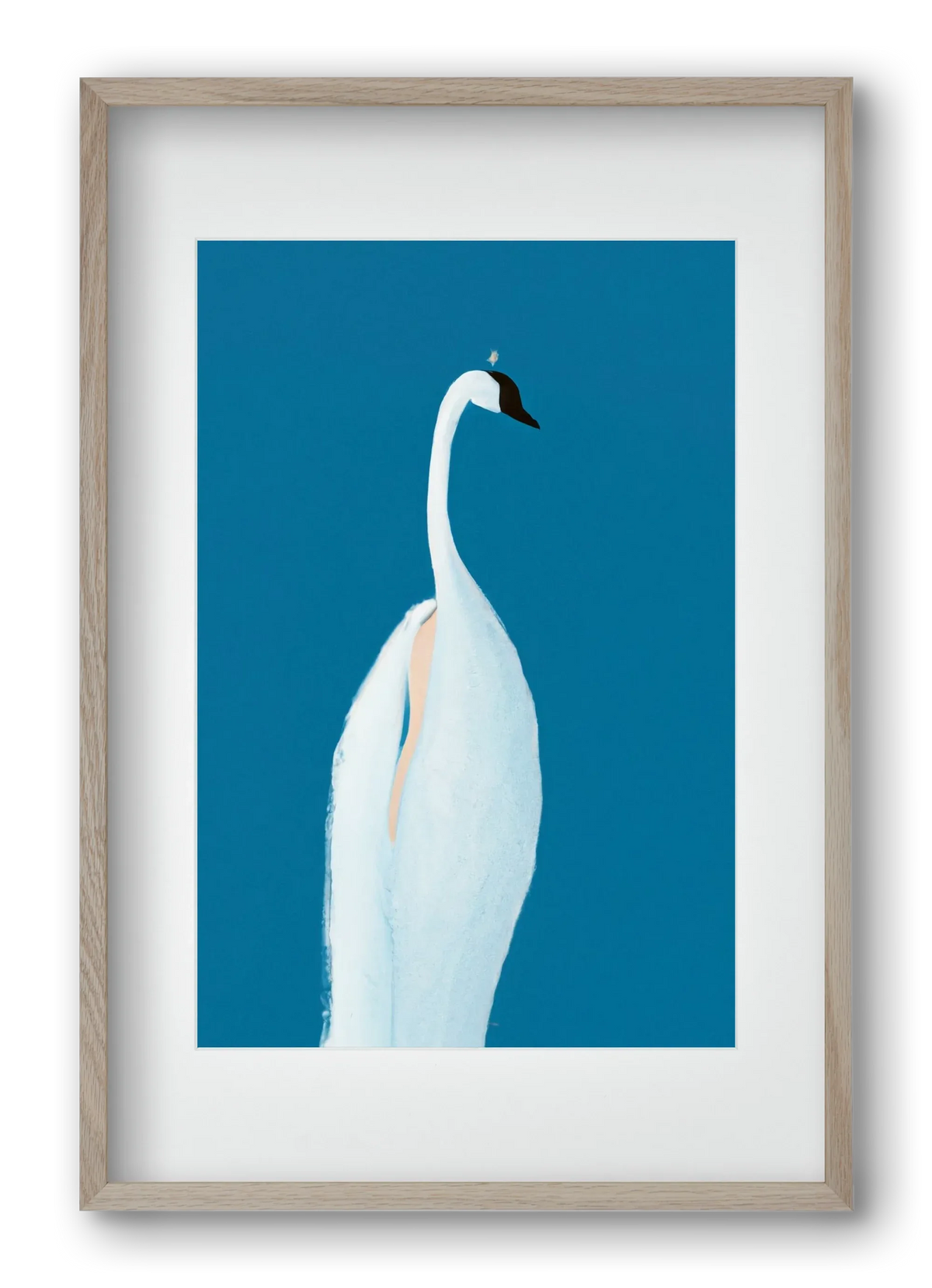 Swan maybe - artbridge