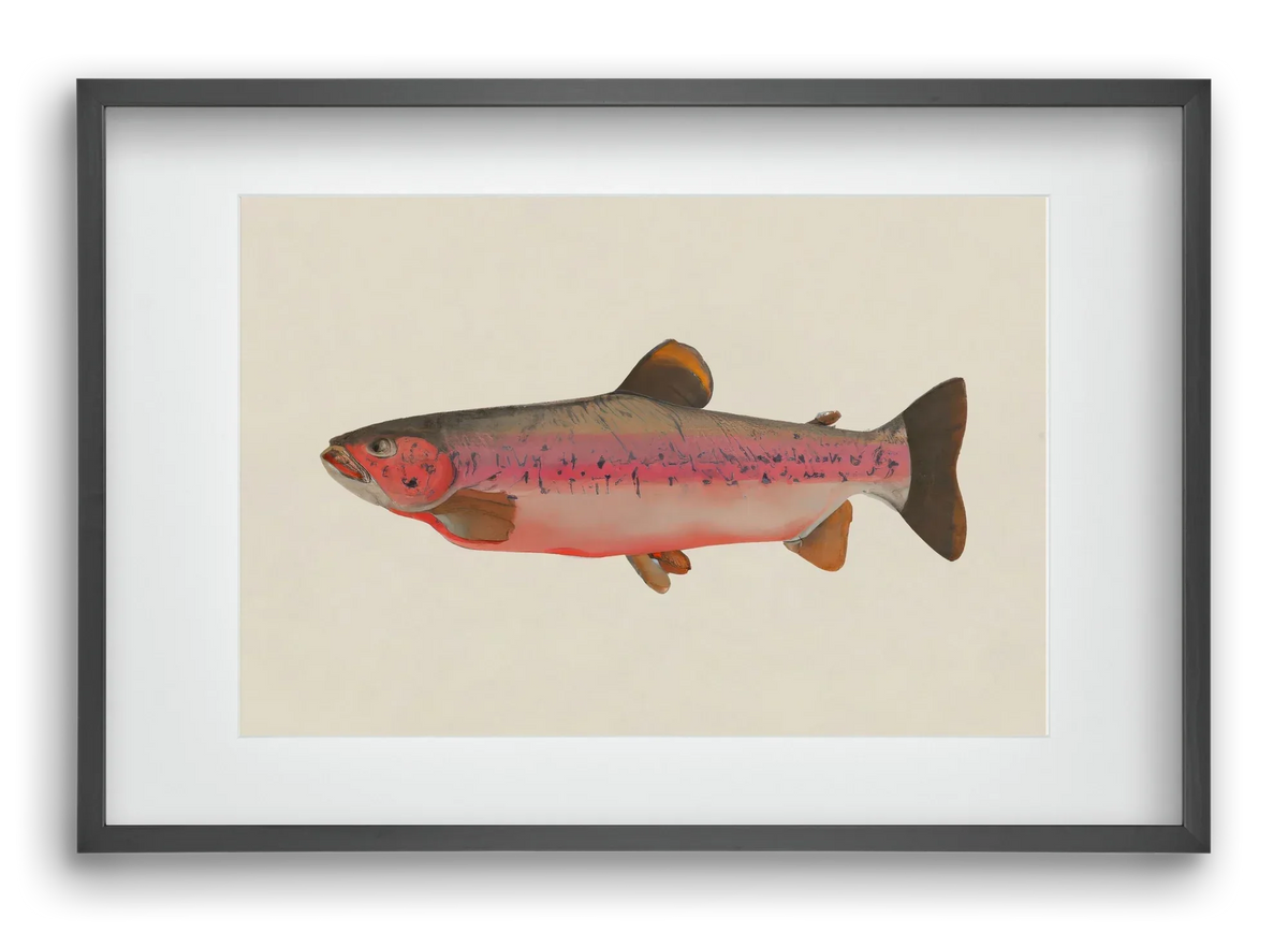 Fishy - artbridge