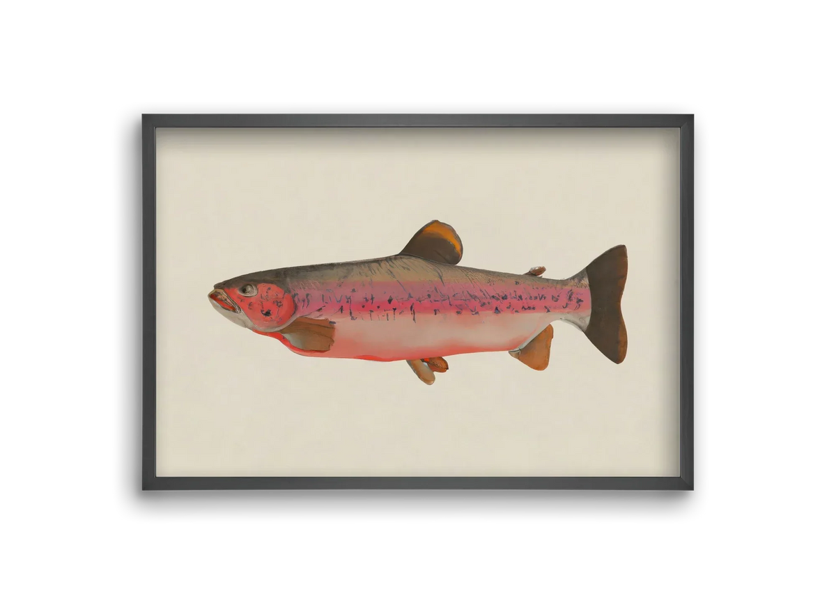 Fishy - artbridge