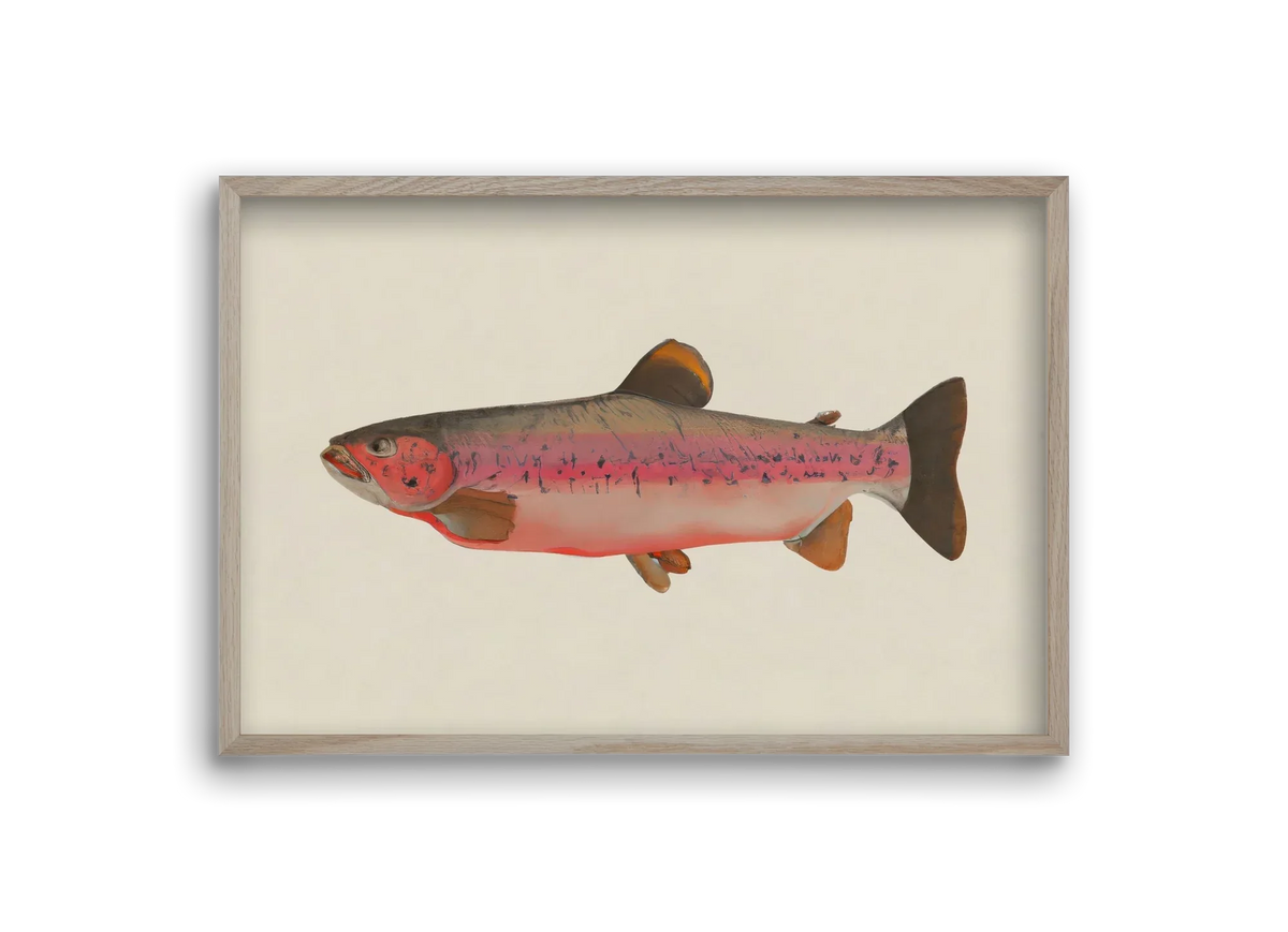Fishy - artbridge