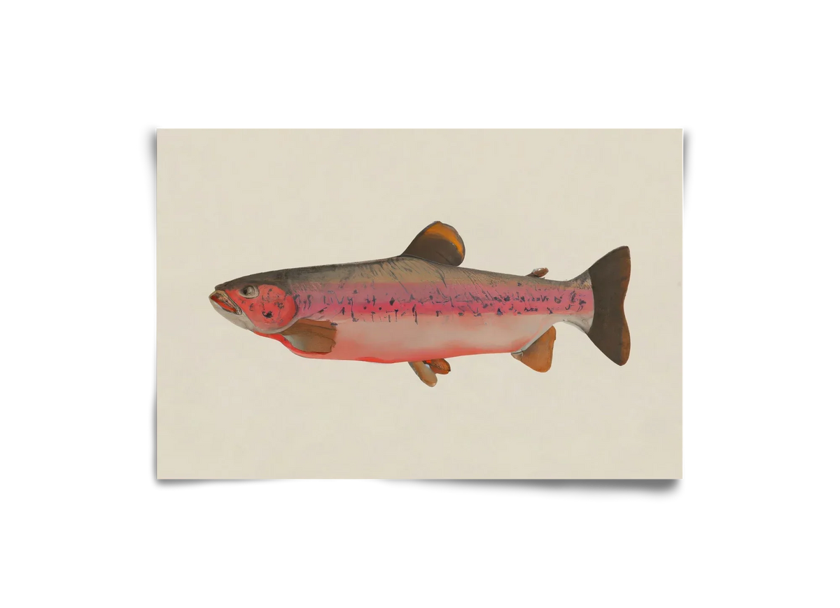 Fishy - artbridge