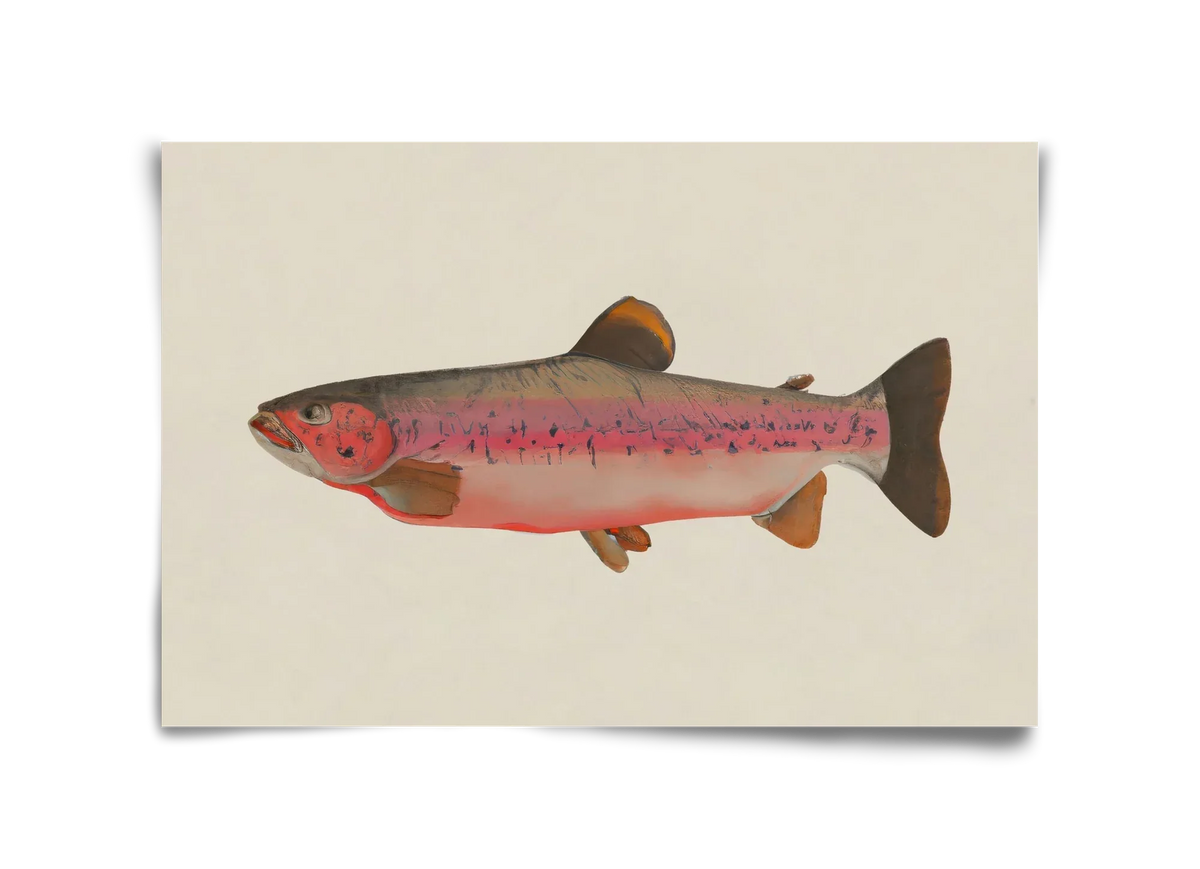 Fishy - artbridge