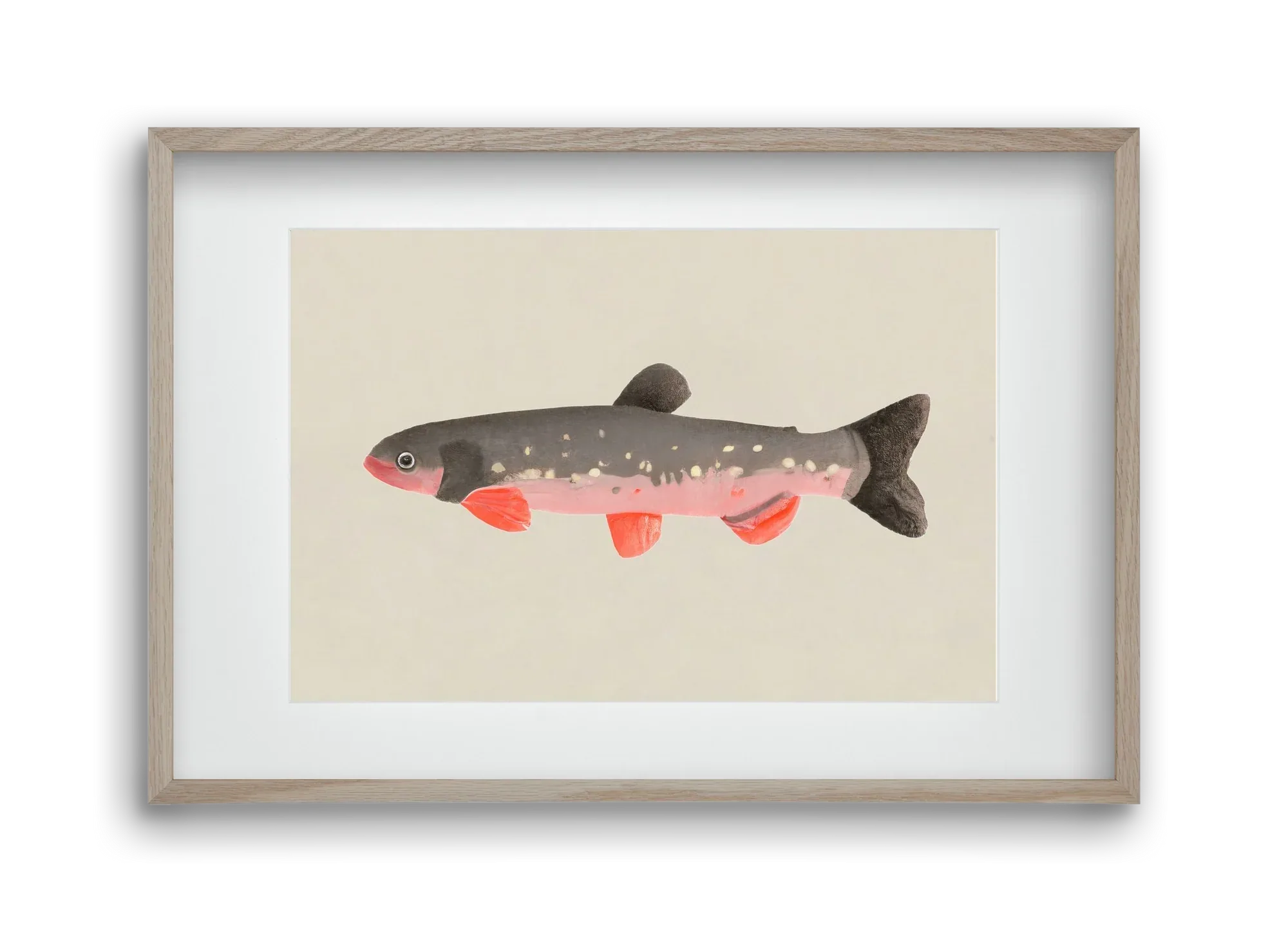 Still fishy - artbridge