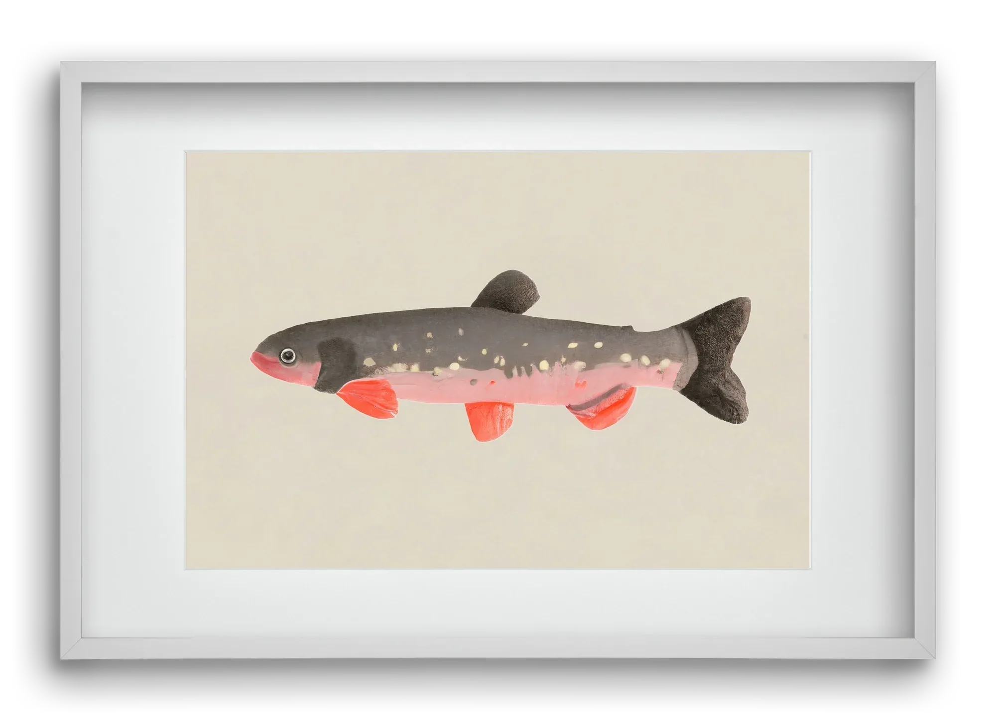 Still fishy - artbridge