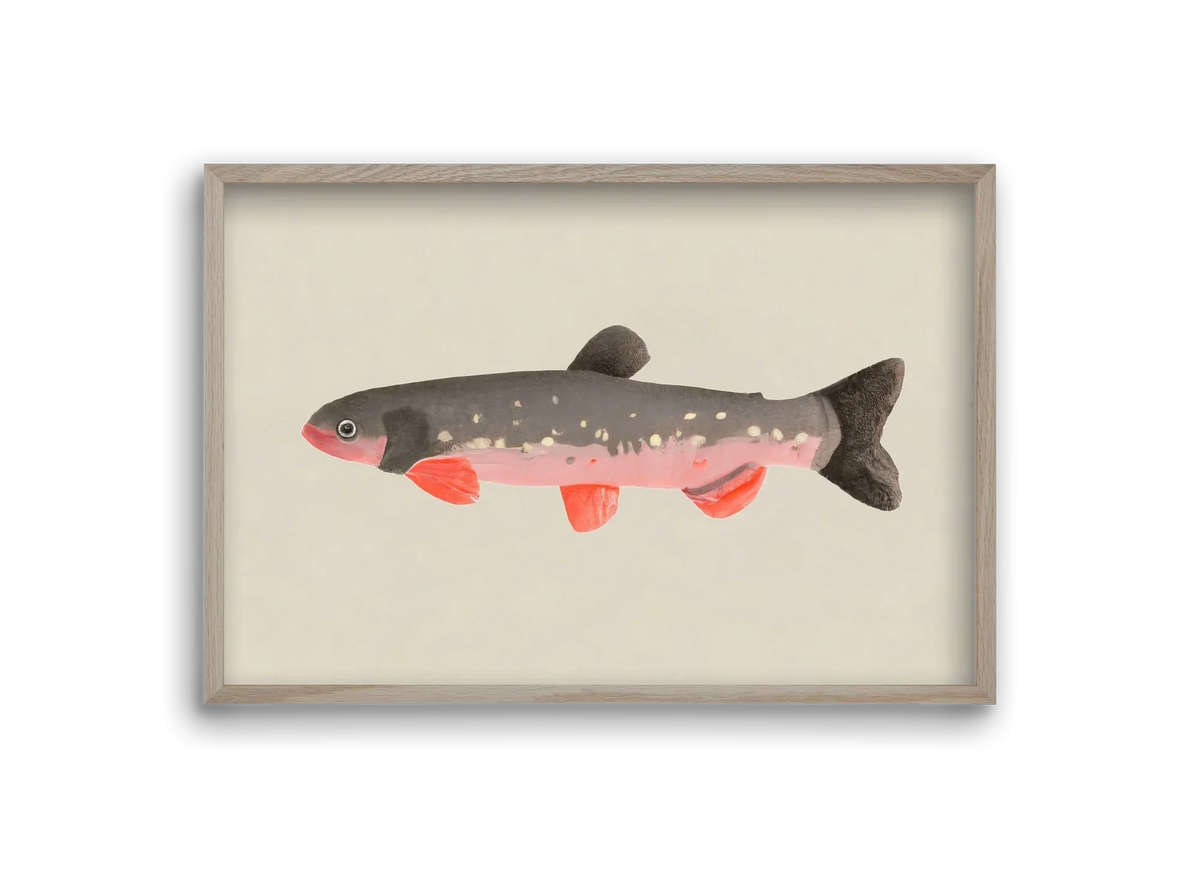 Still fishy - artbridge