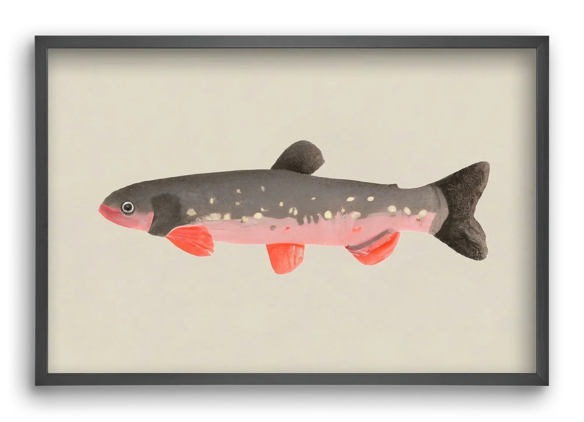 Still fishy - artbridge