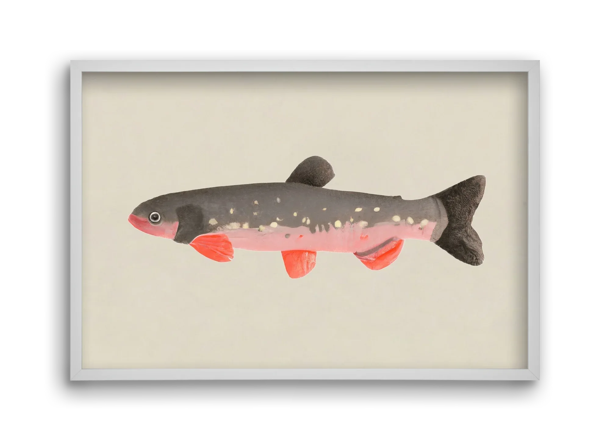 Still fishy - artbridge