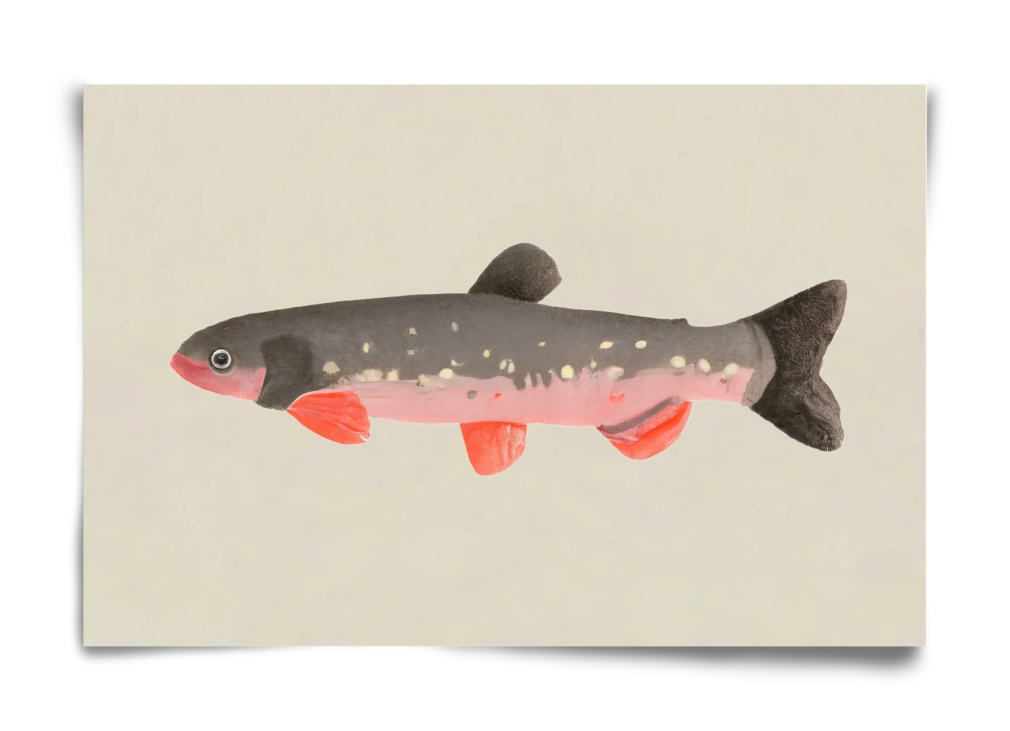 Still fishy - artbridge