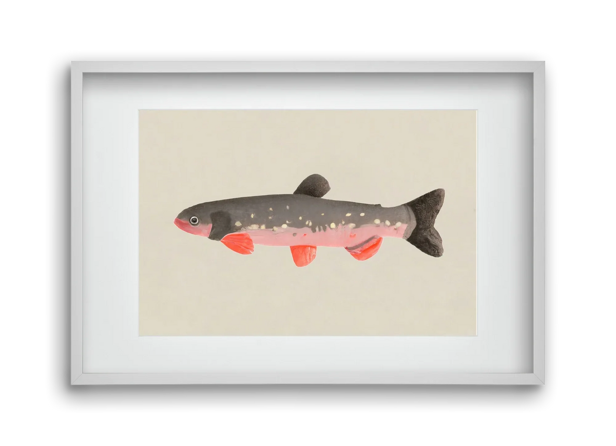 Still fishy - artbridge