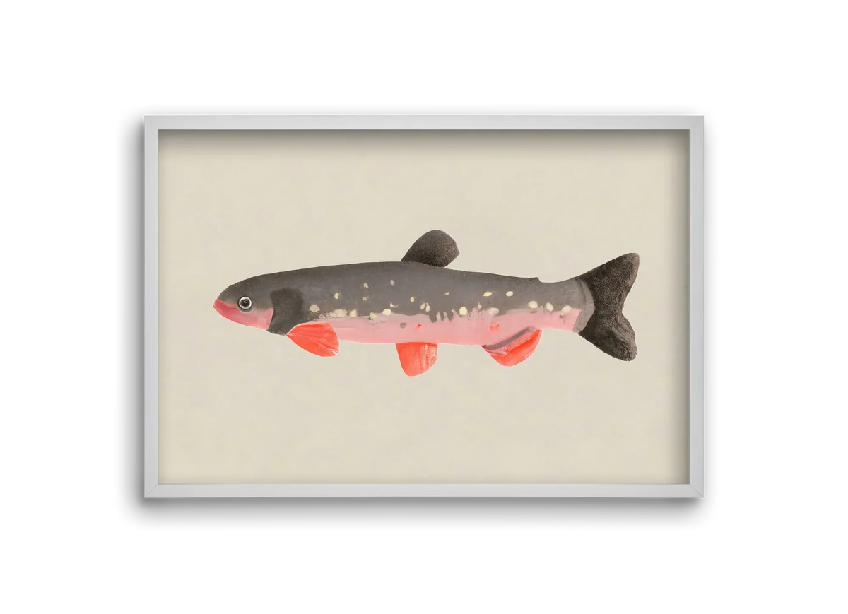 Still fishy - artbridge