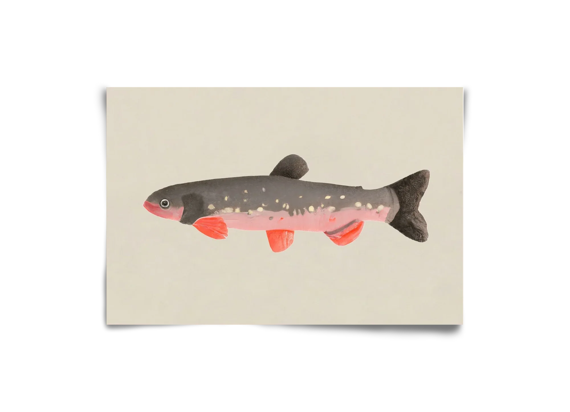 Still fishy - artbridge