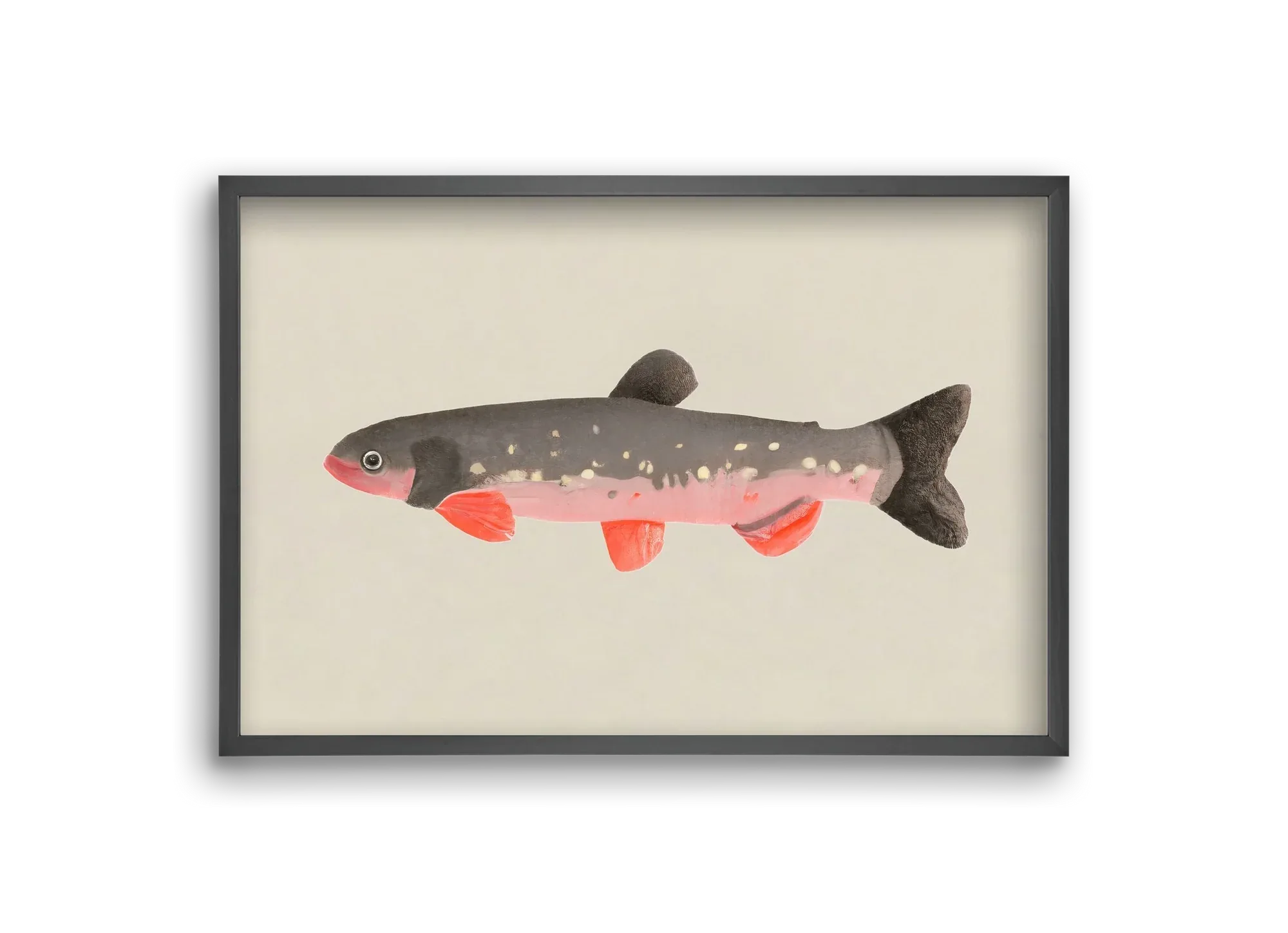 Still fishy - artbridge