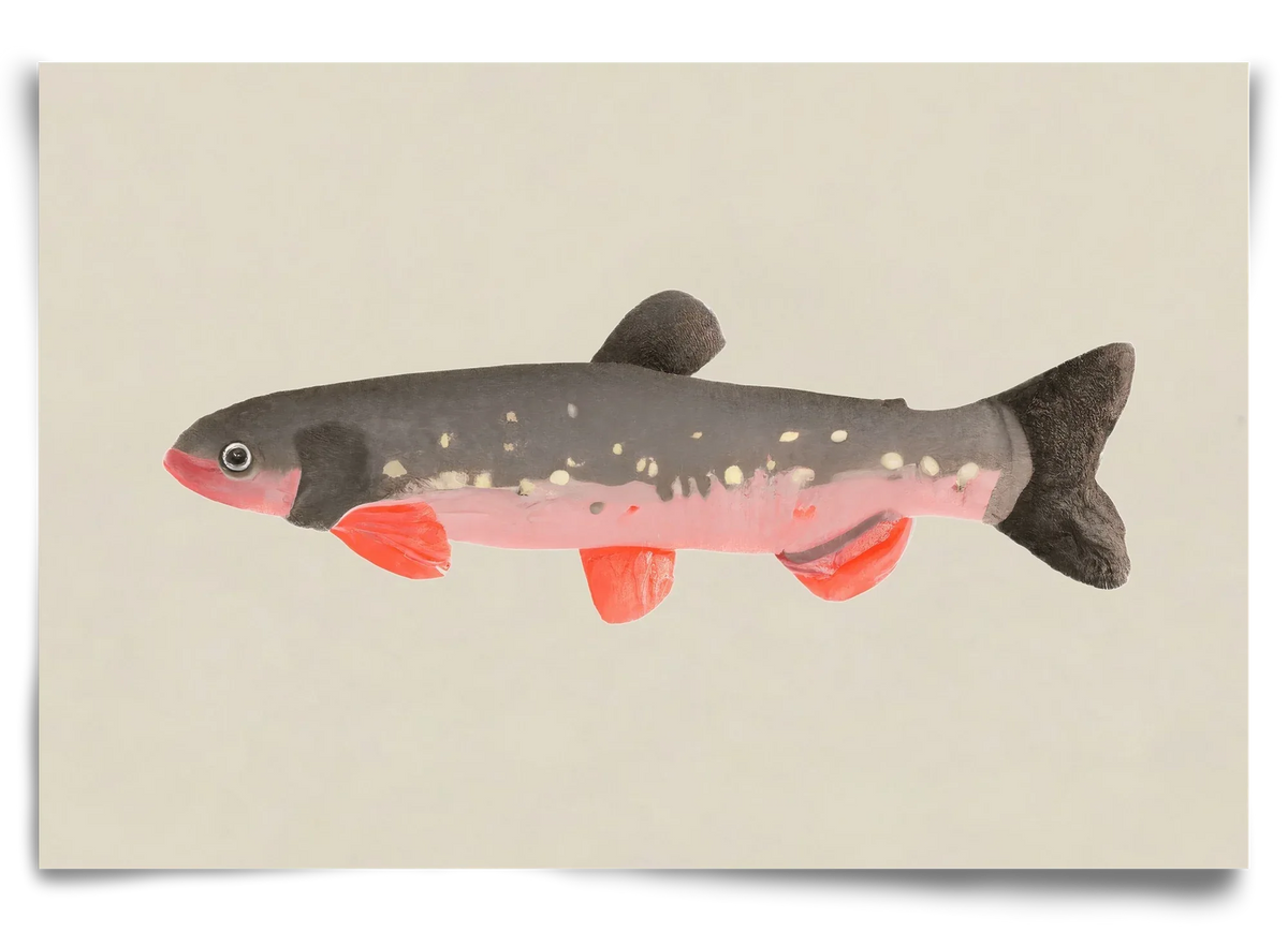Still fishy - artbridge