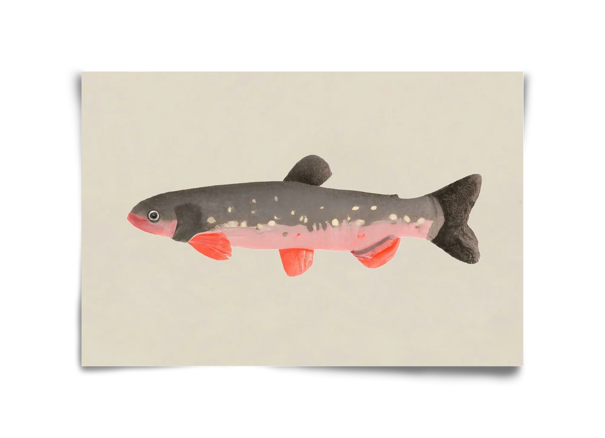 Still fishy - artbridge
