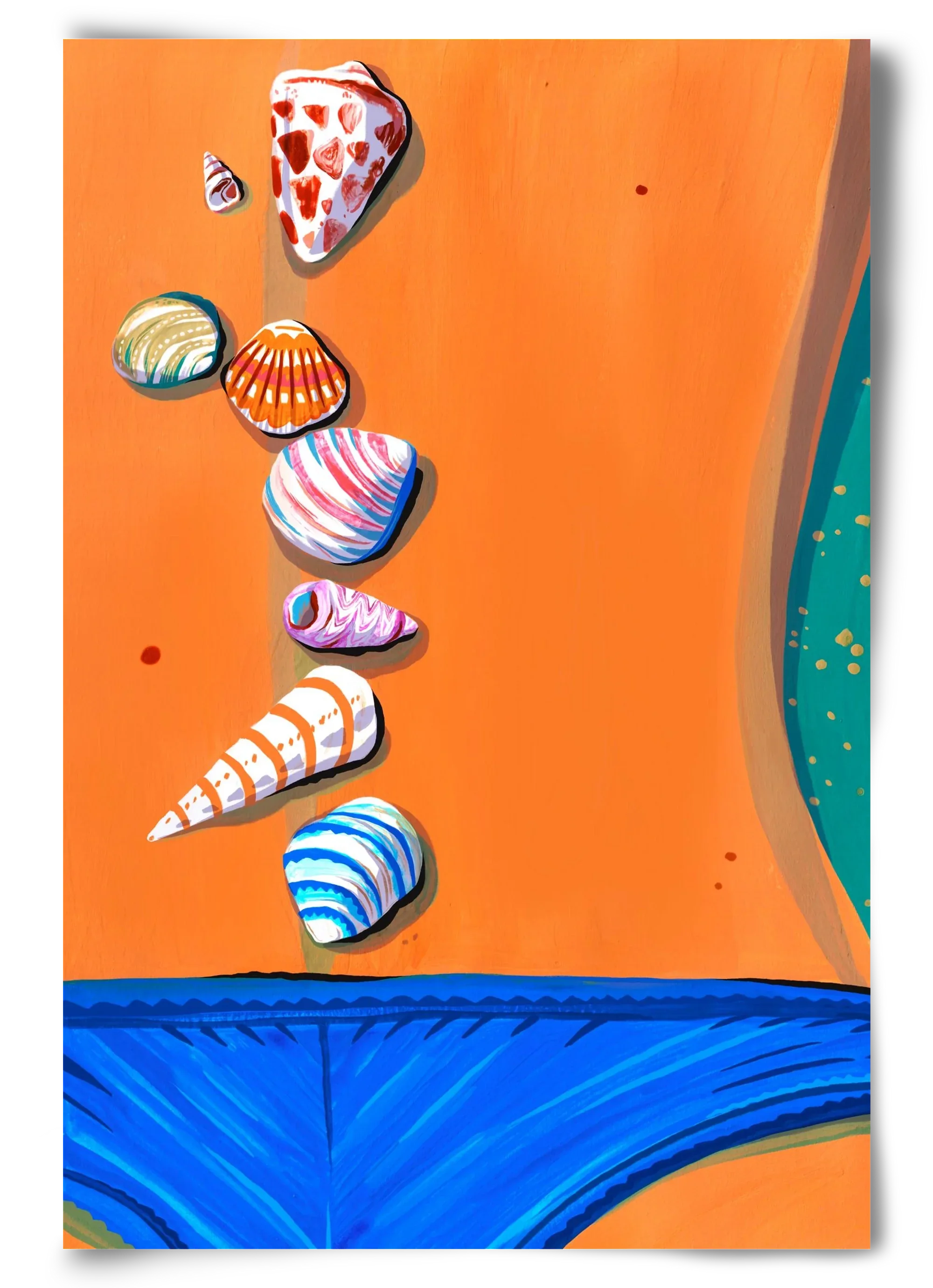 Shells - artbridge