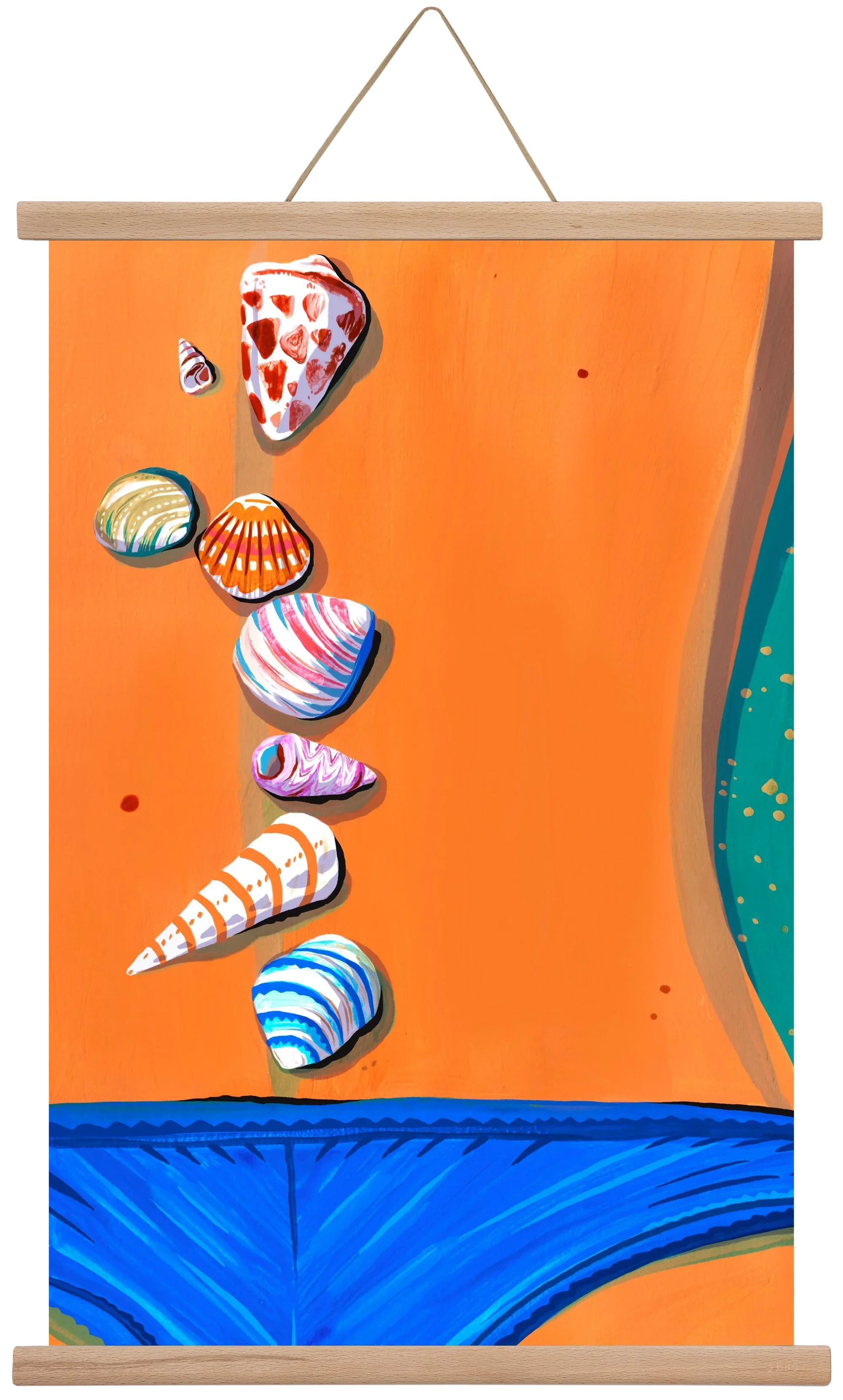 Shells - artbridge