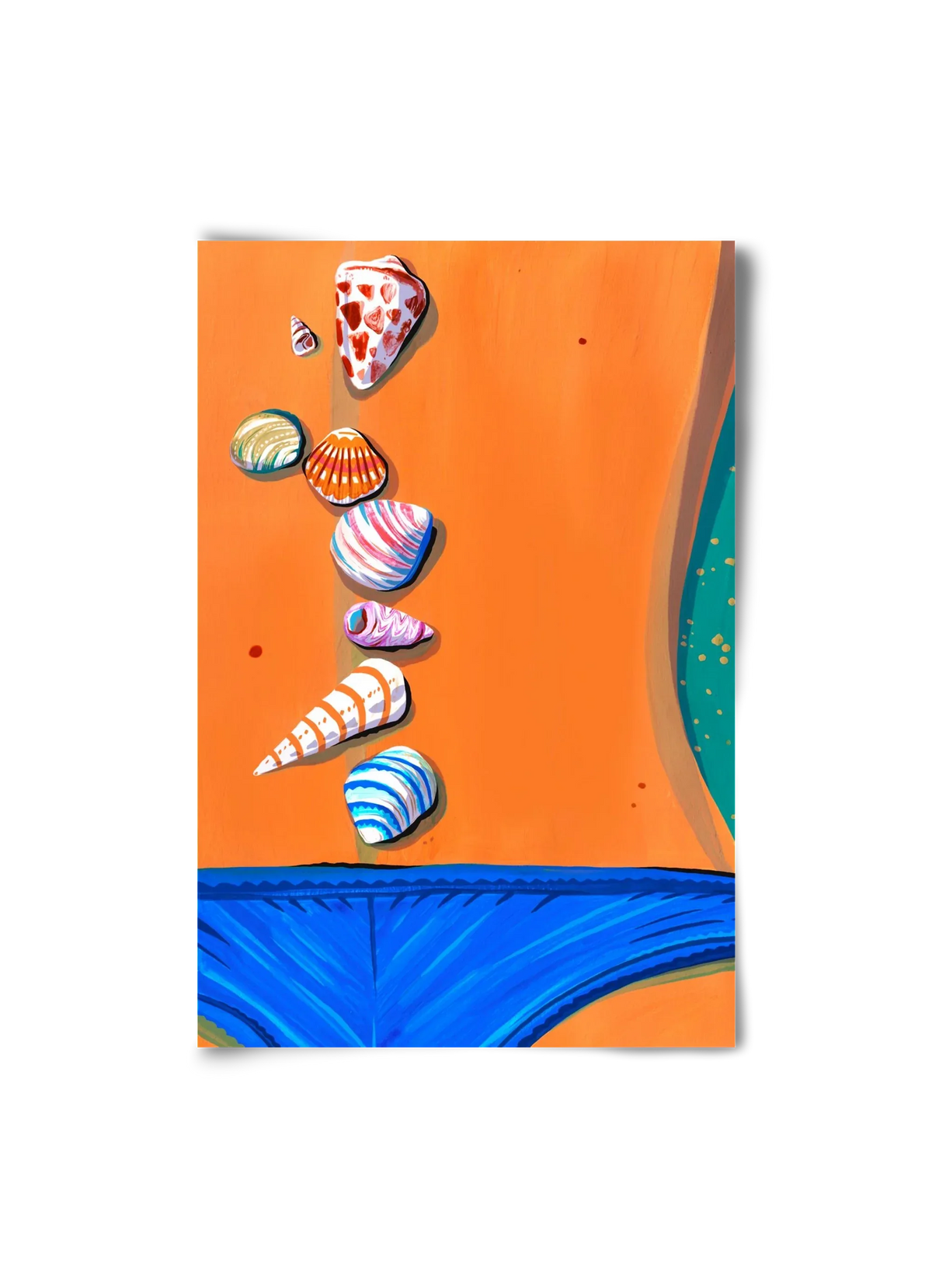 Shells - artbridge