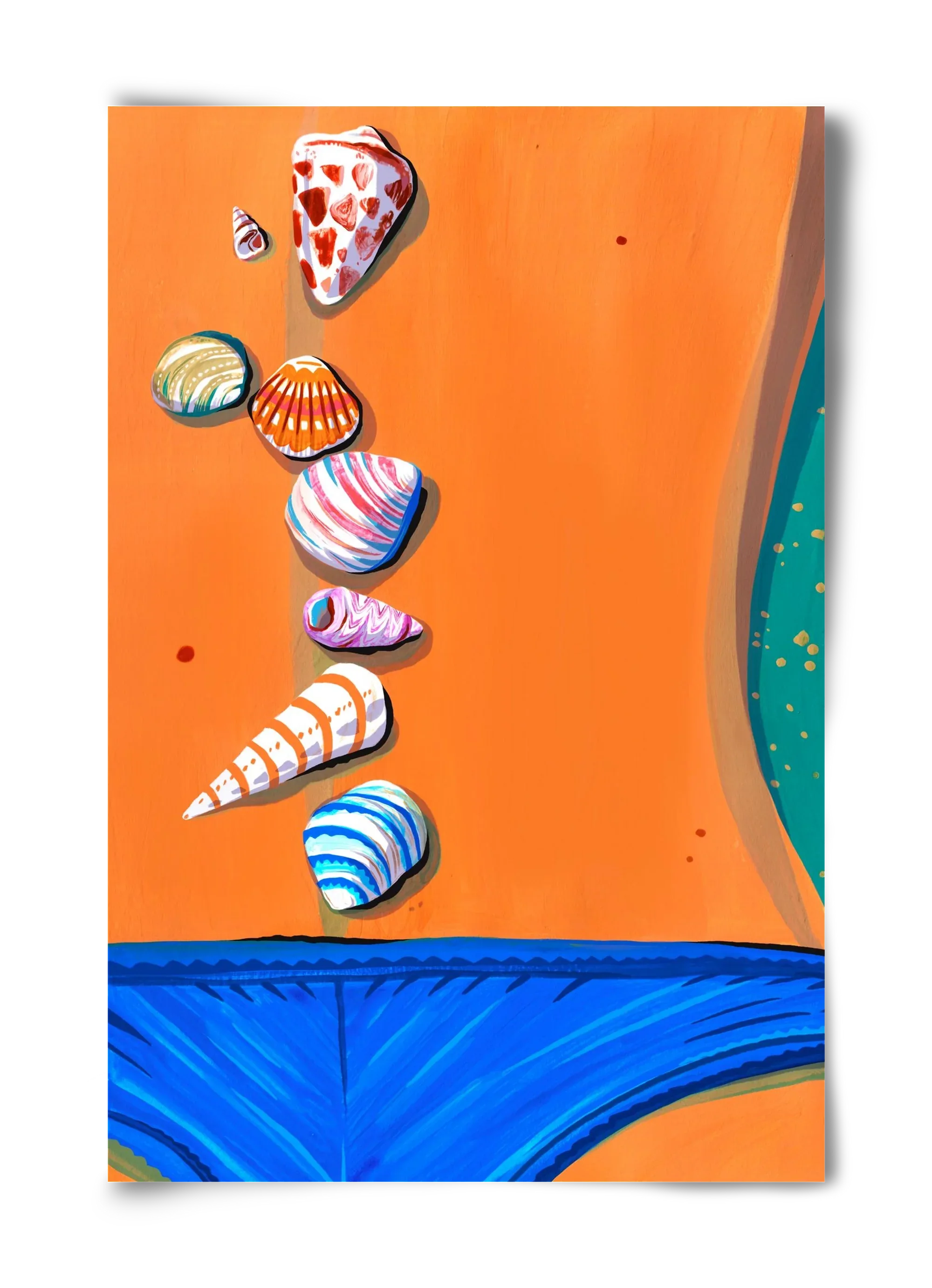 Shells - artbridge