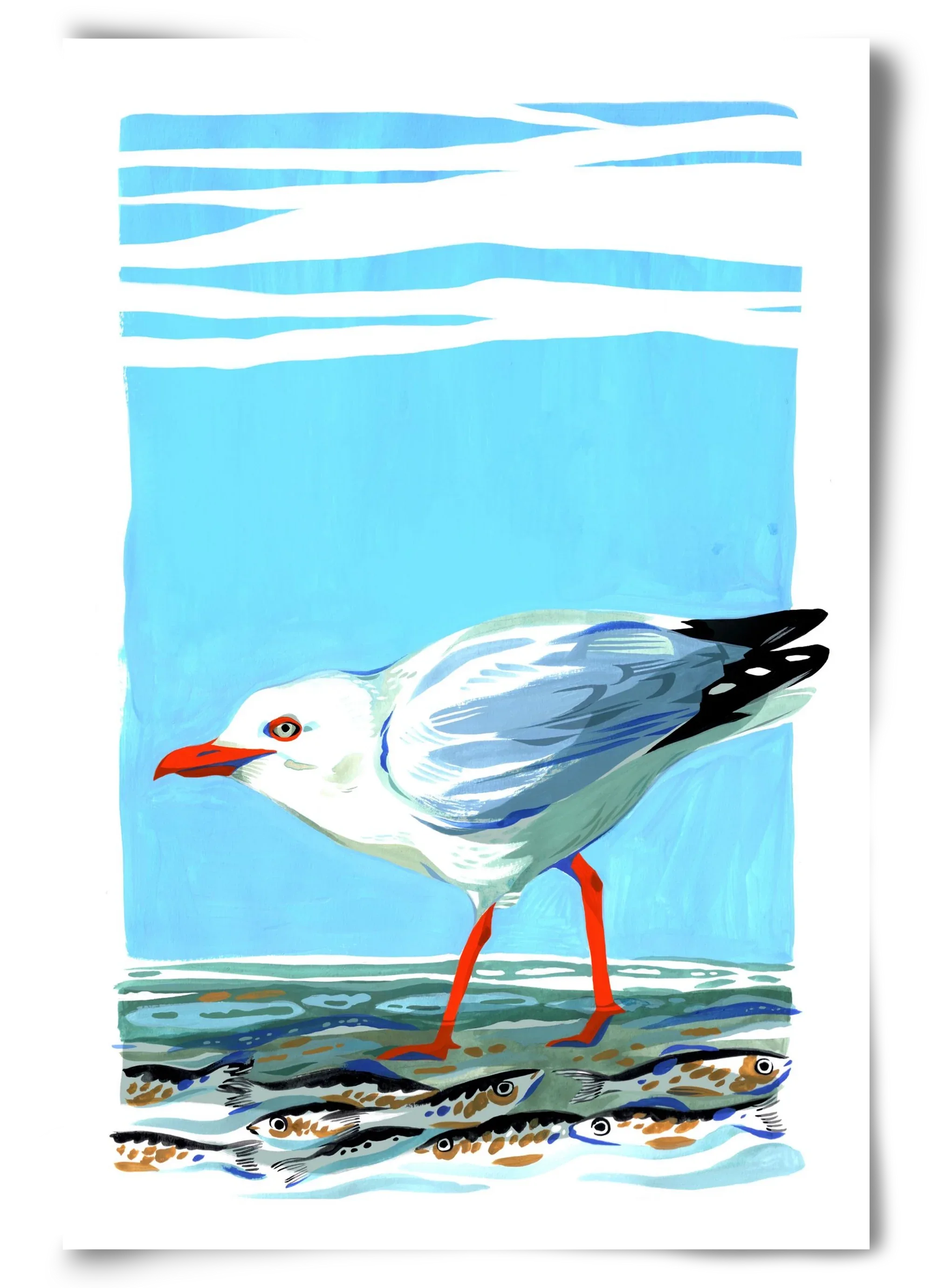 Seagull - artbridge