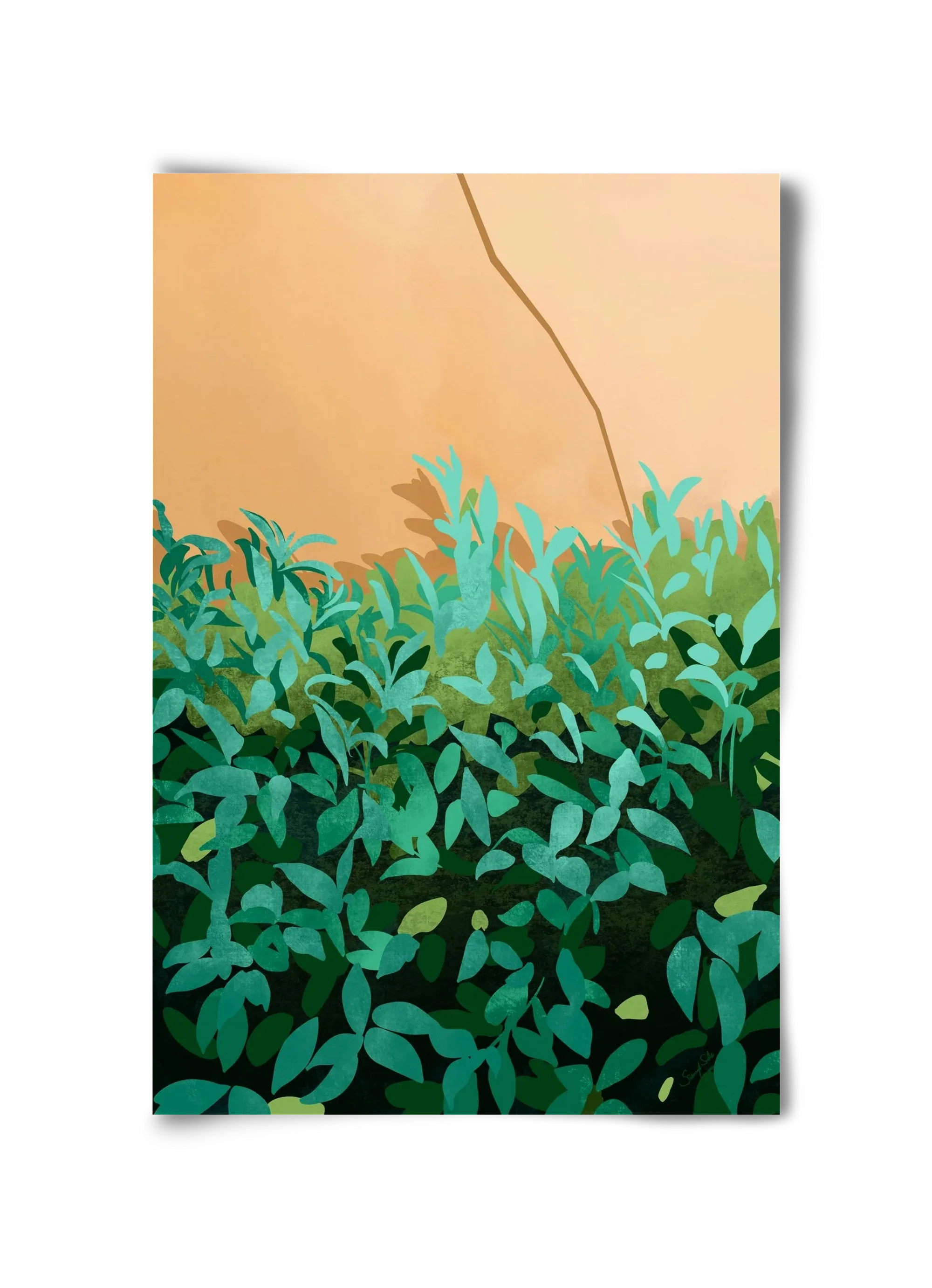 Elosztás - artbridge