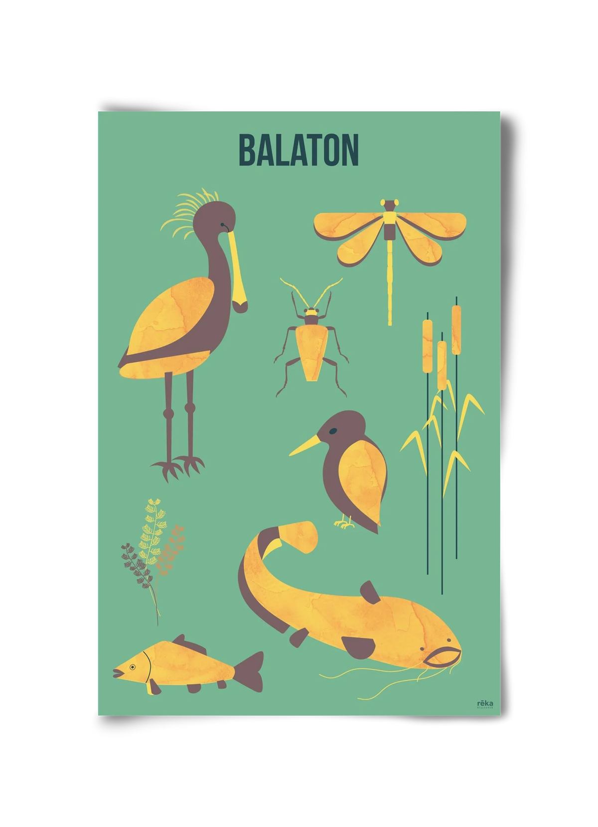 balaton - artbridge
