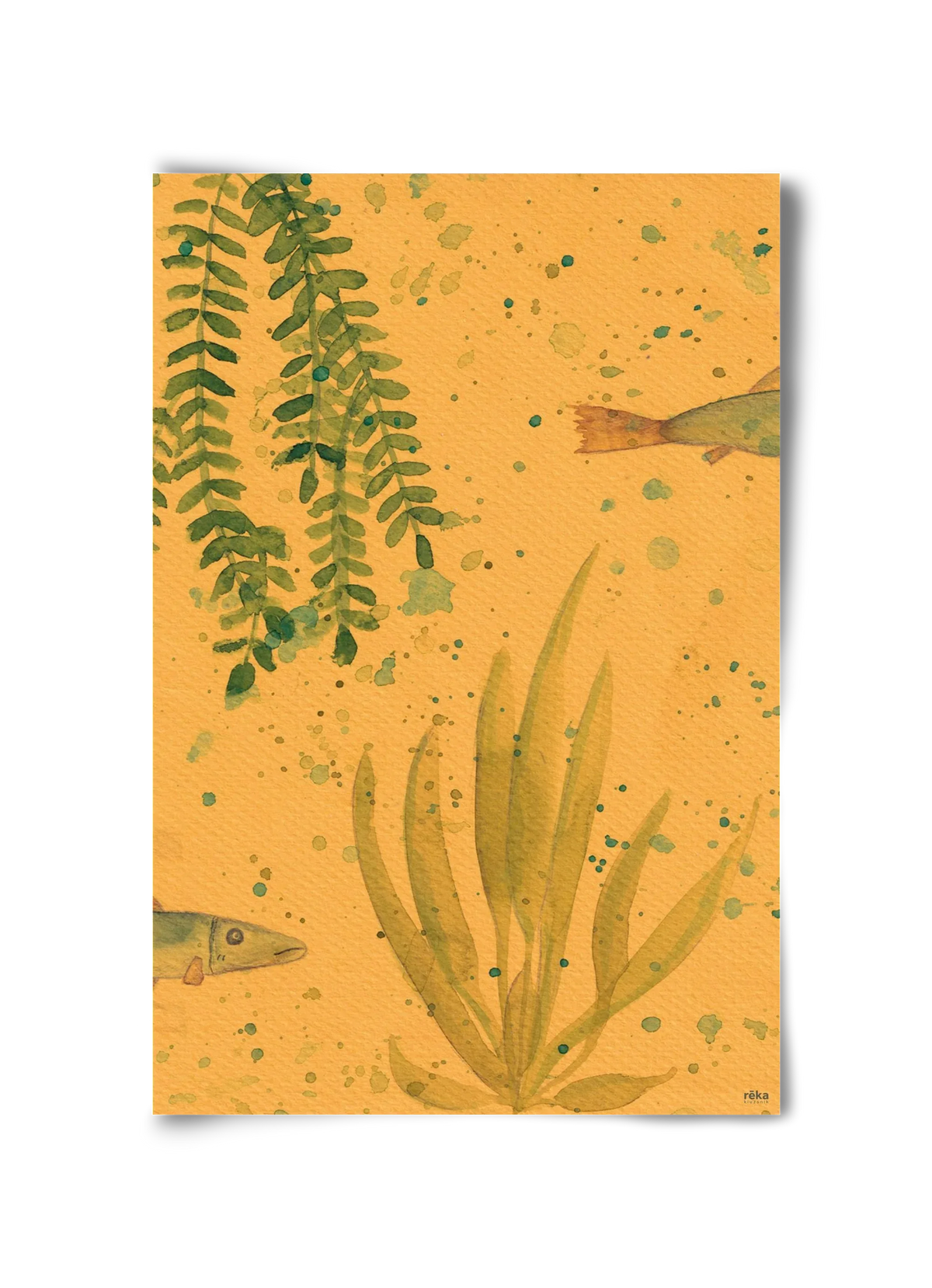 long fish - artbridge