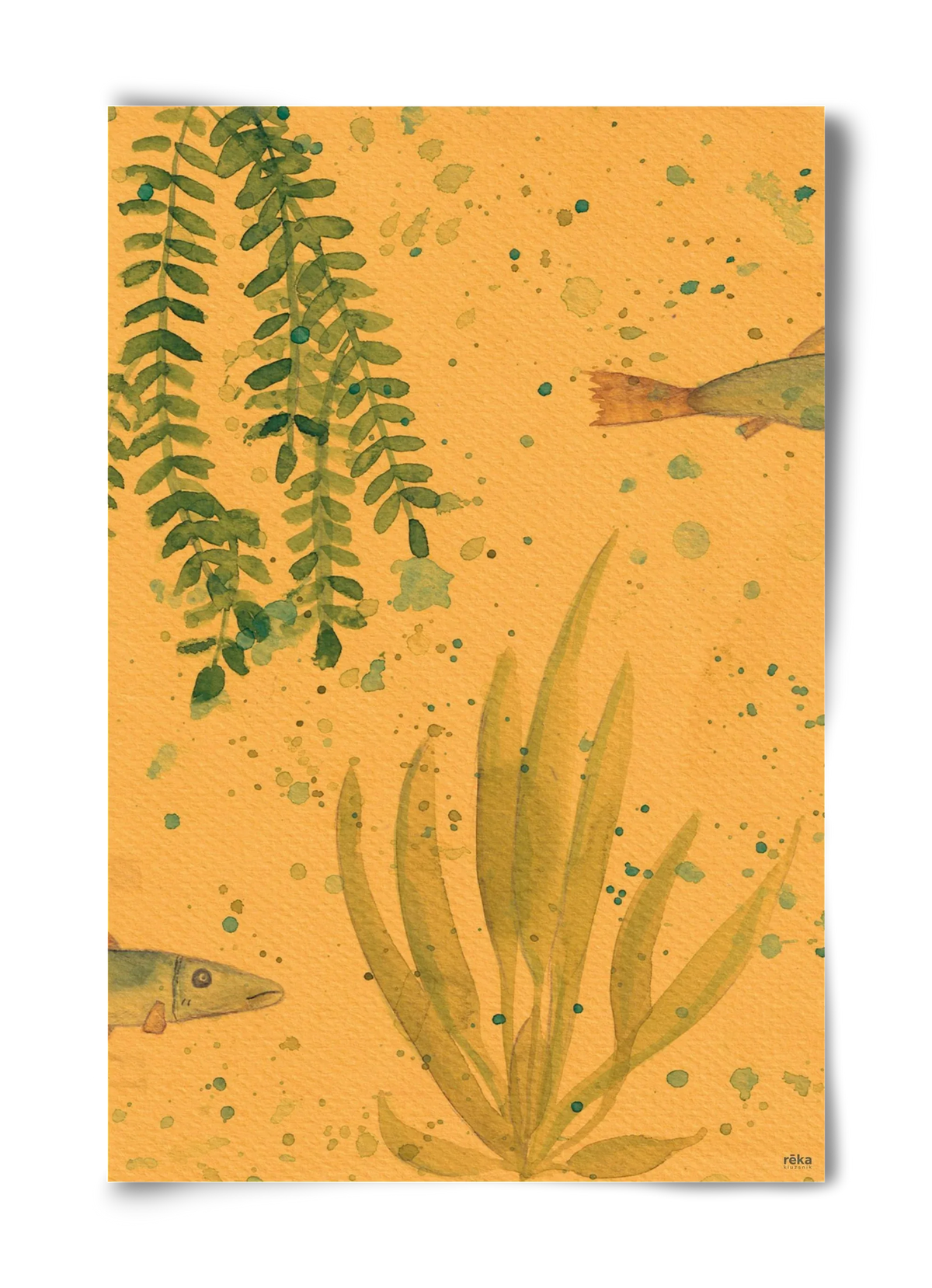long fish - artbridge