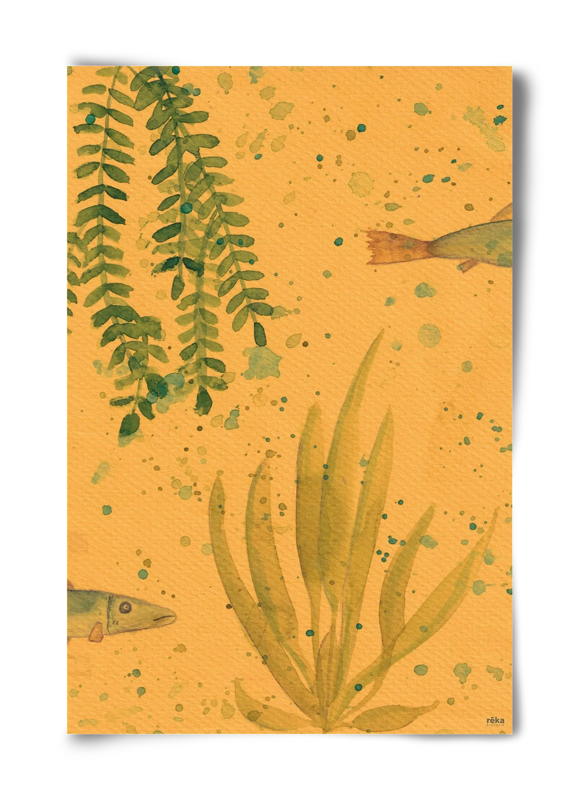 long fish - artbridge