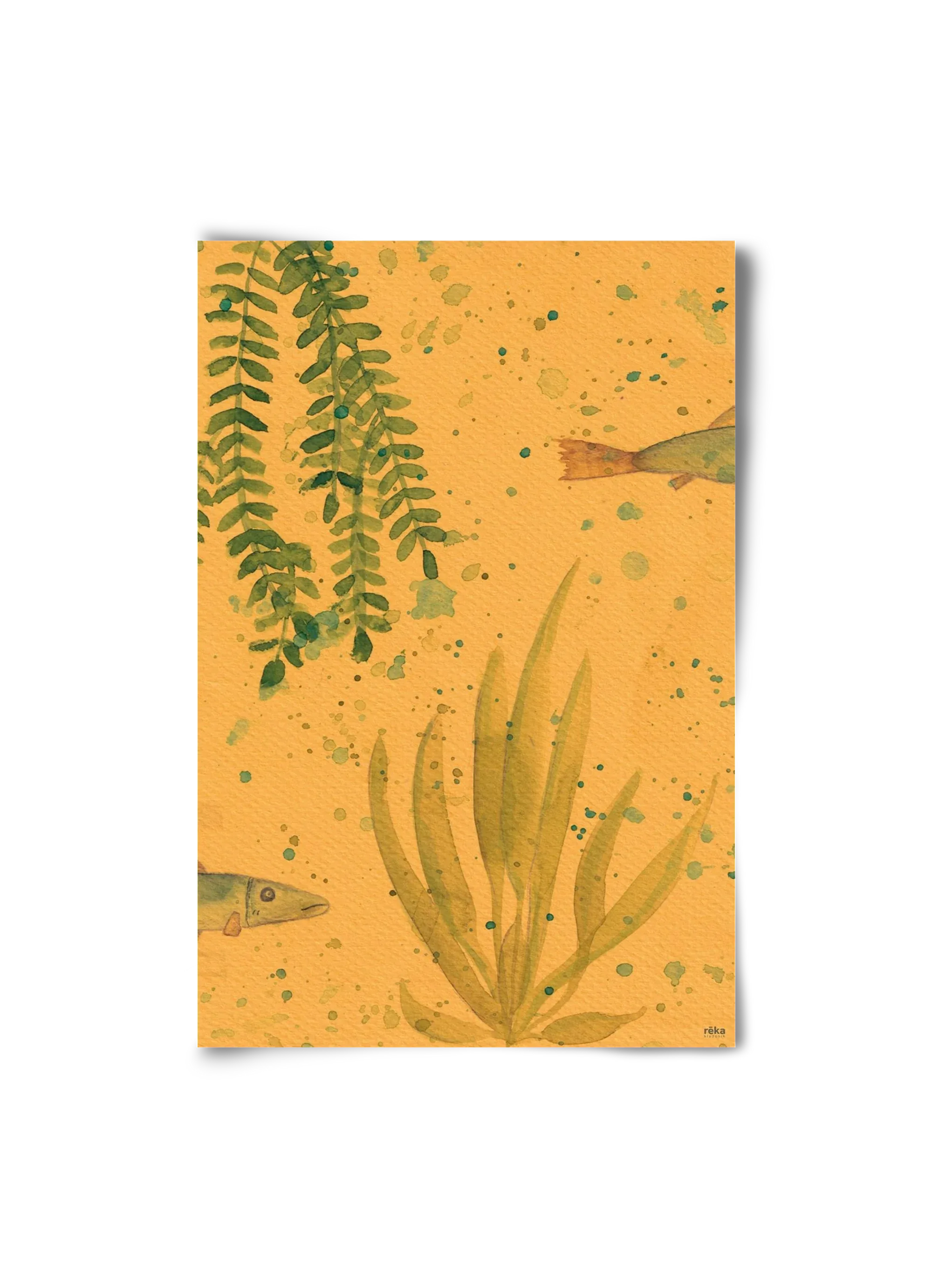 long fish - artbridge