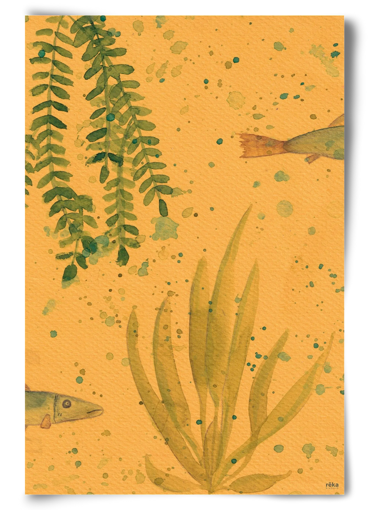 long fish - artbridge