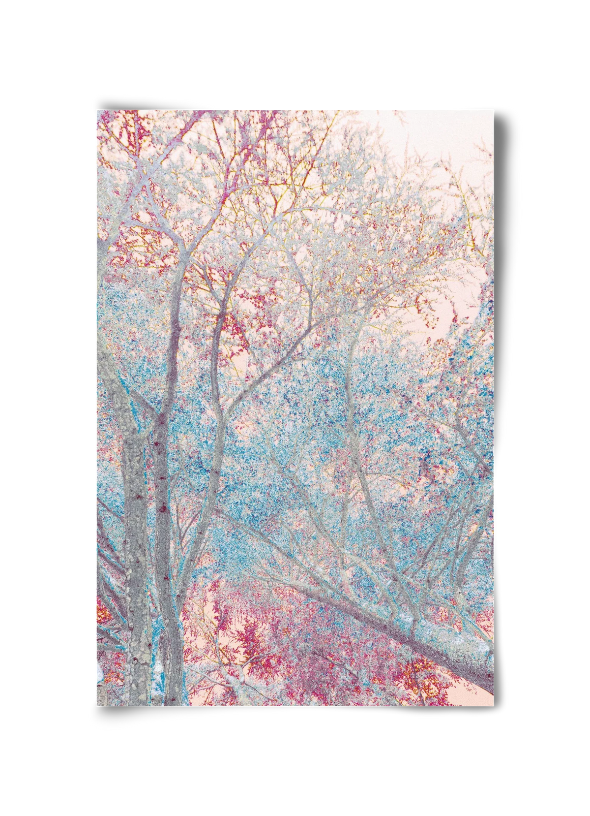 luminous - artbridge