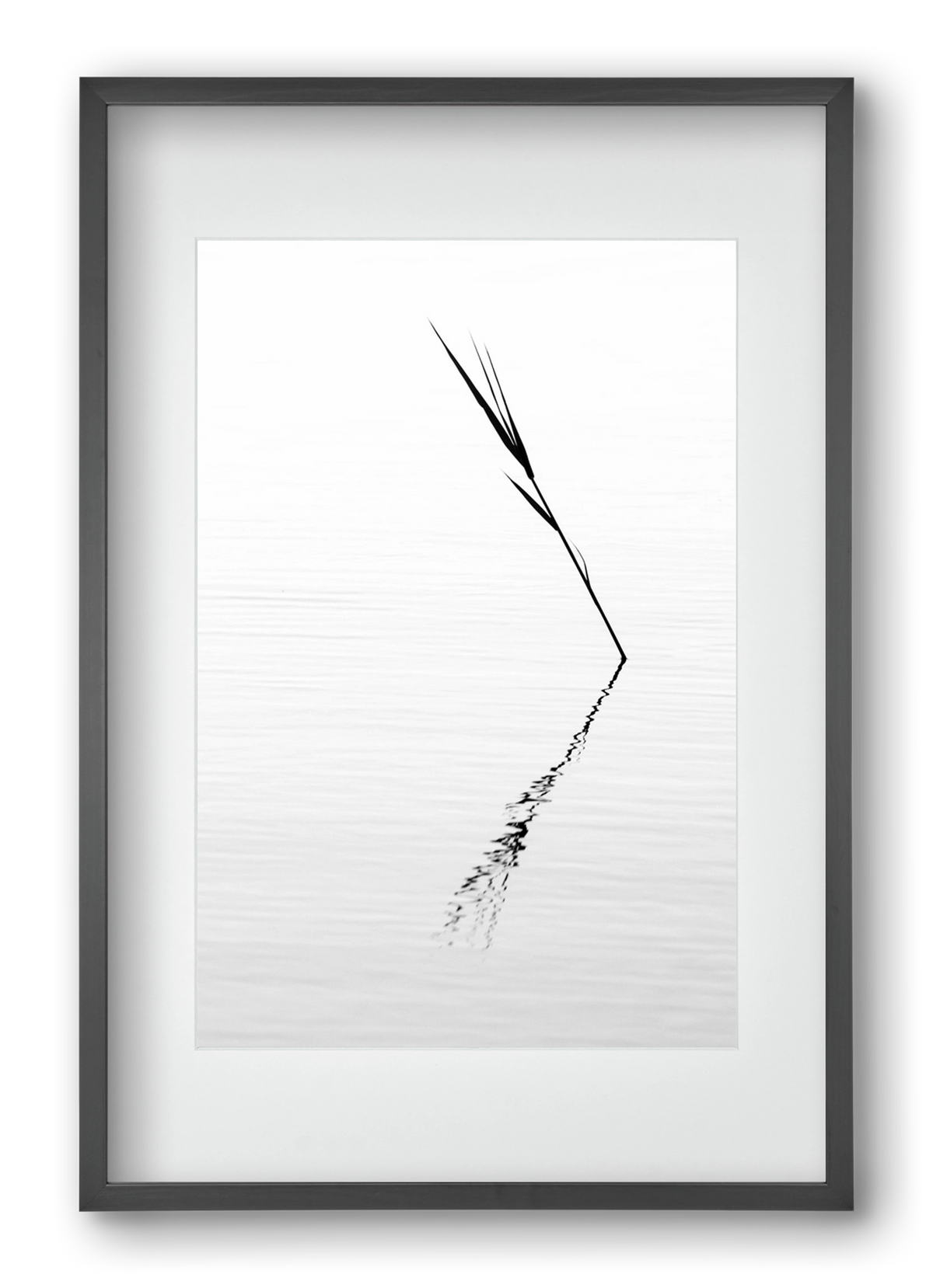 Minimál nád , 40x60 cm (30x45 cm), Fekete keret, paszpartuval